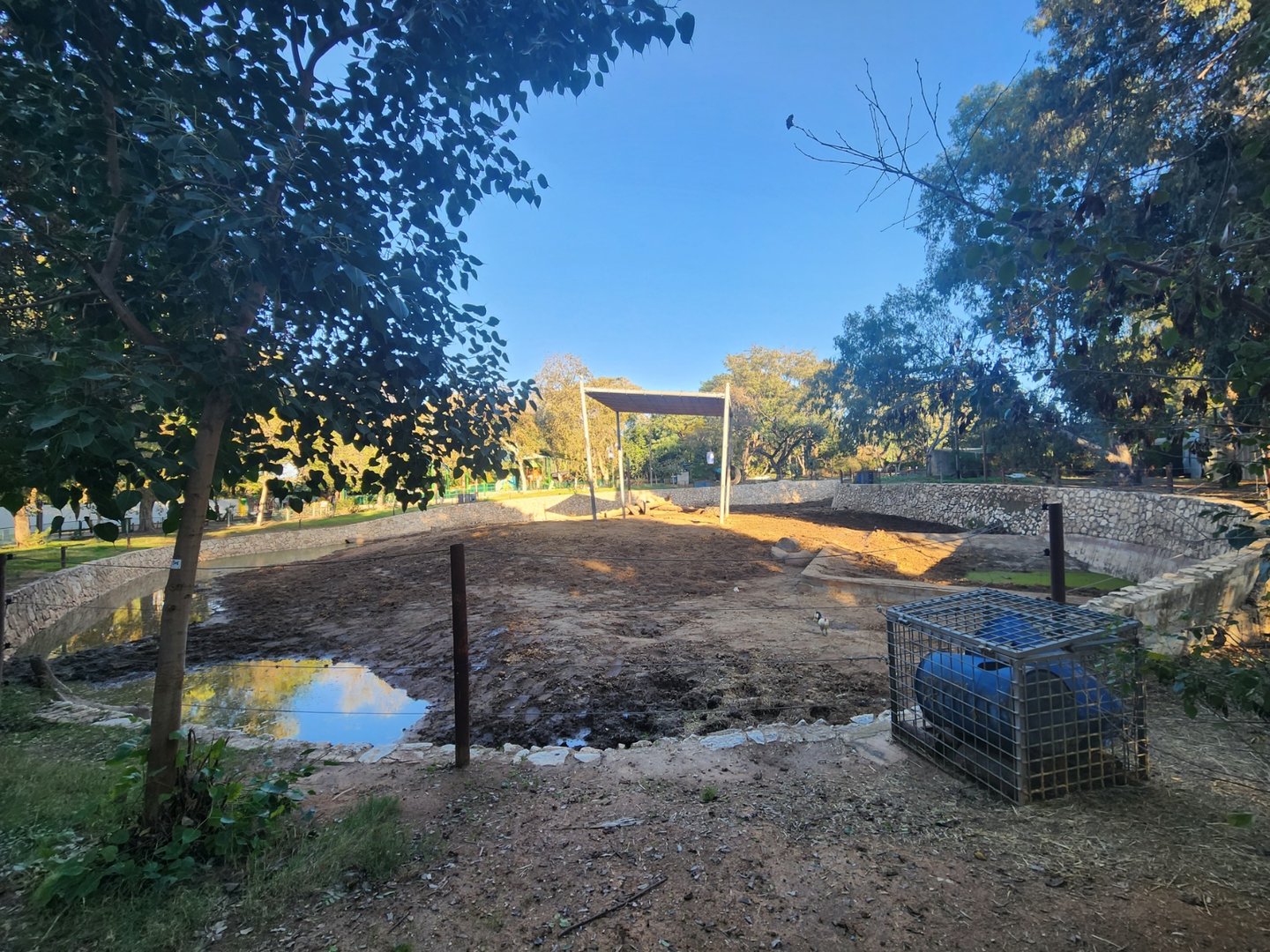 Asian Elephant Exhibit