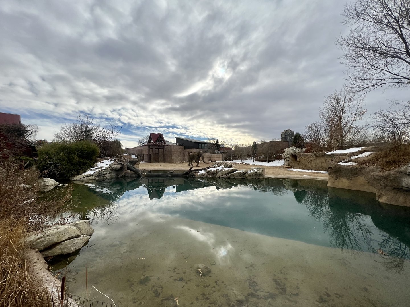 Asian Elephant Exhibit