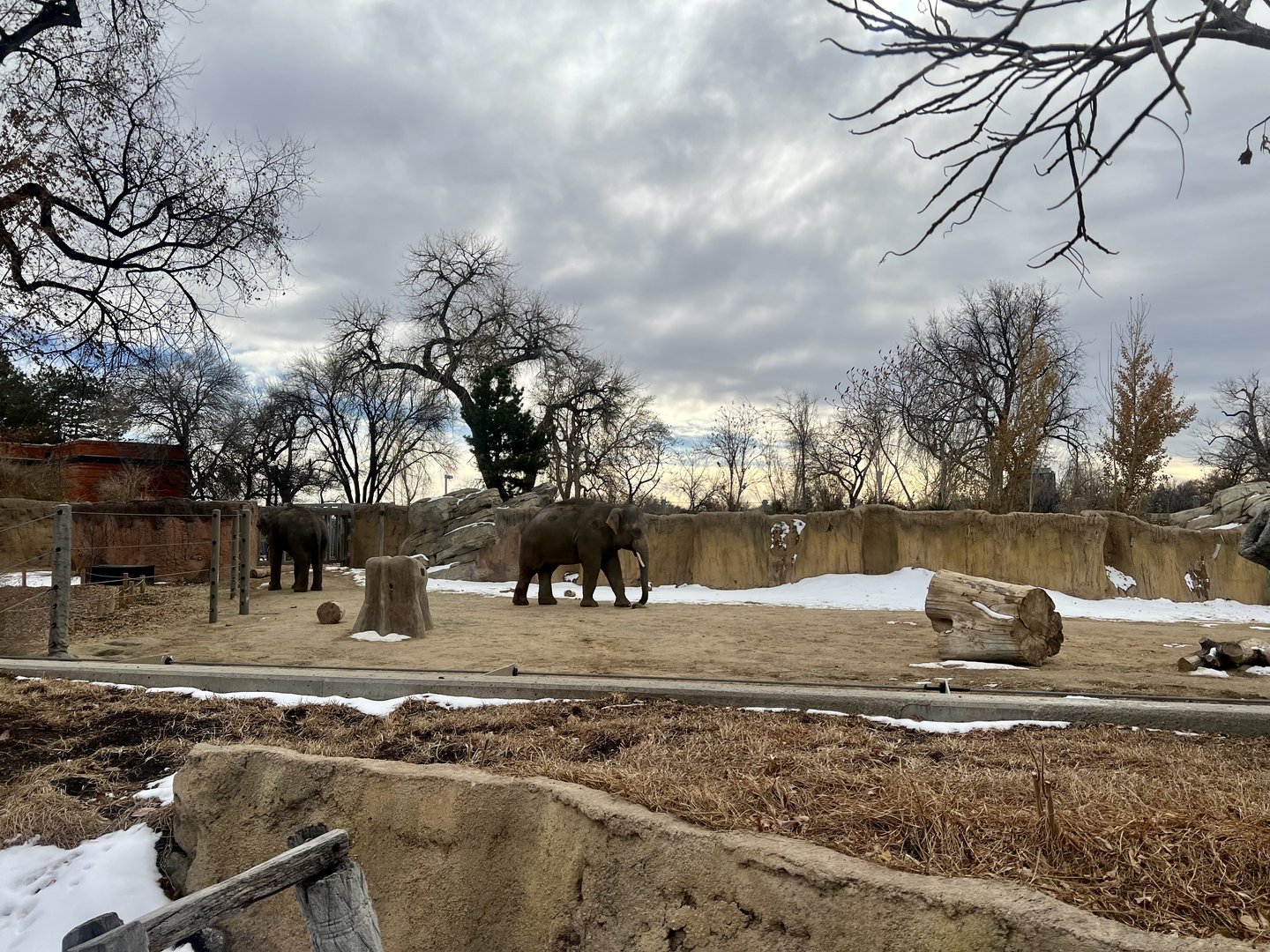 Asian Elephant Exhibit
