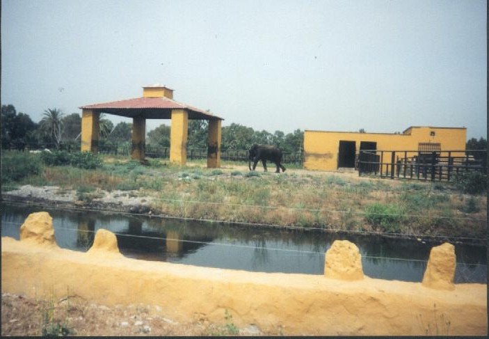 Asian Elephant Exhibit