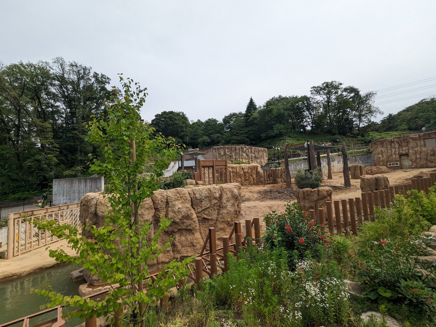 Asian Elephant Exhibit