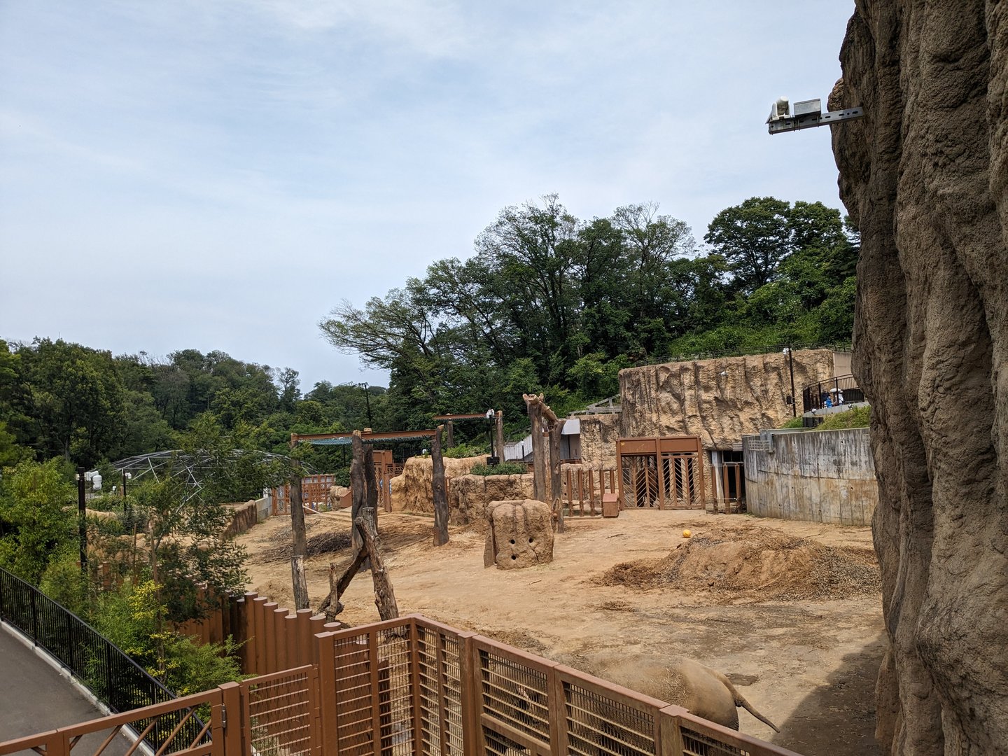 Asian Elephant Exhibit