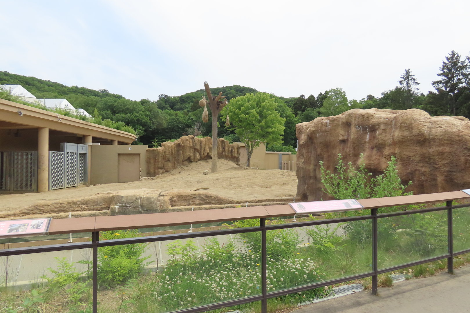 Asian elephant exhibit
