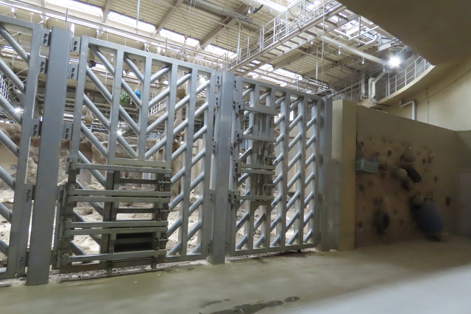 Asian elephant exhibit