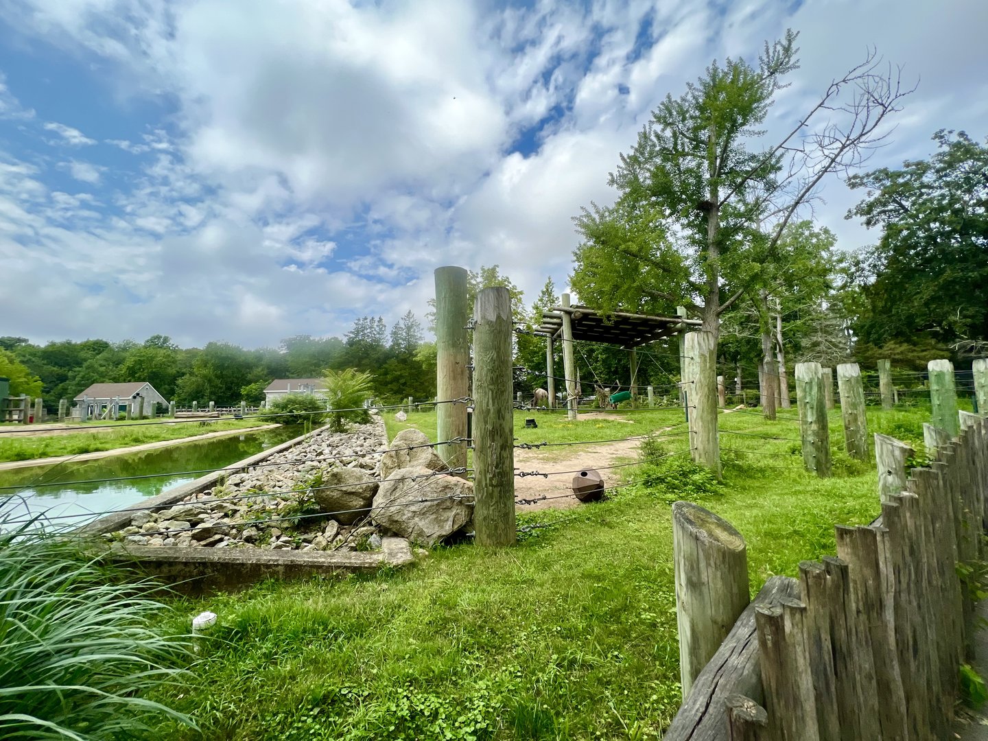 Asian Elephant Exhibit