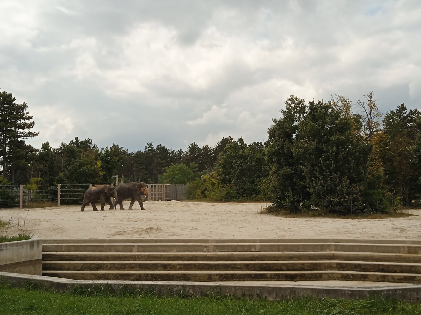 Asian elephant exhibit
