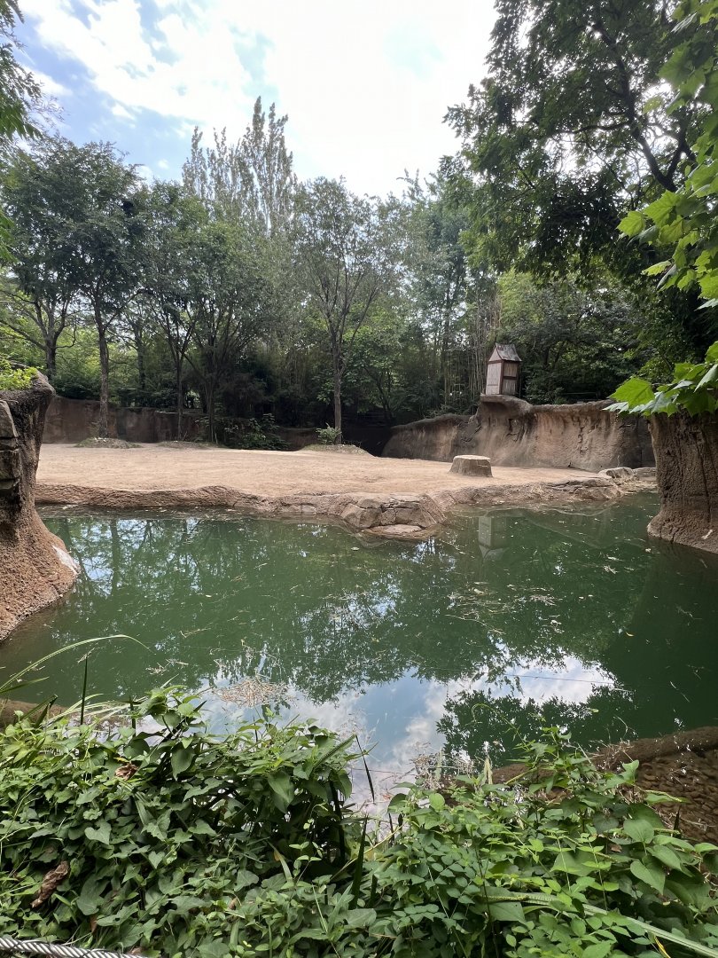 Asian Elephant Exhibit