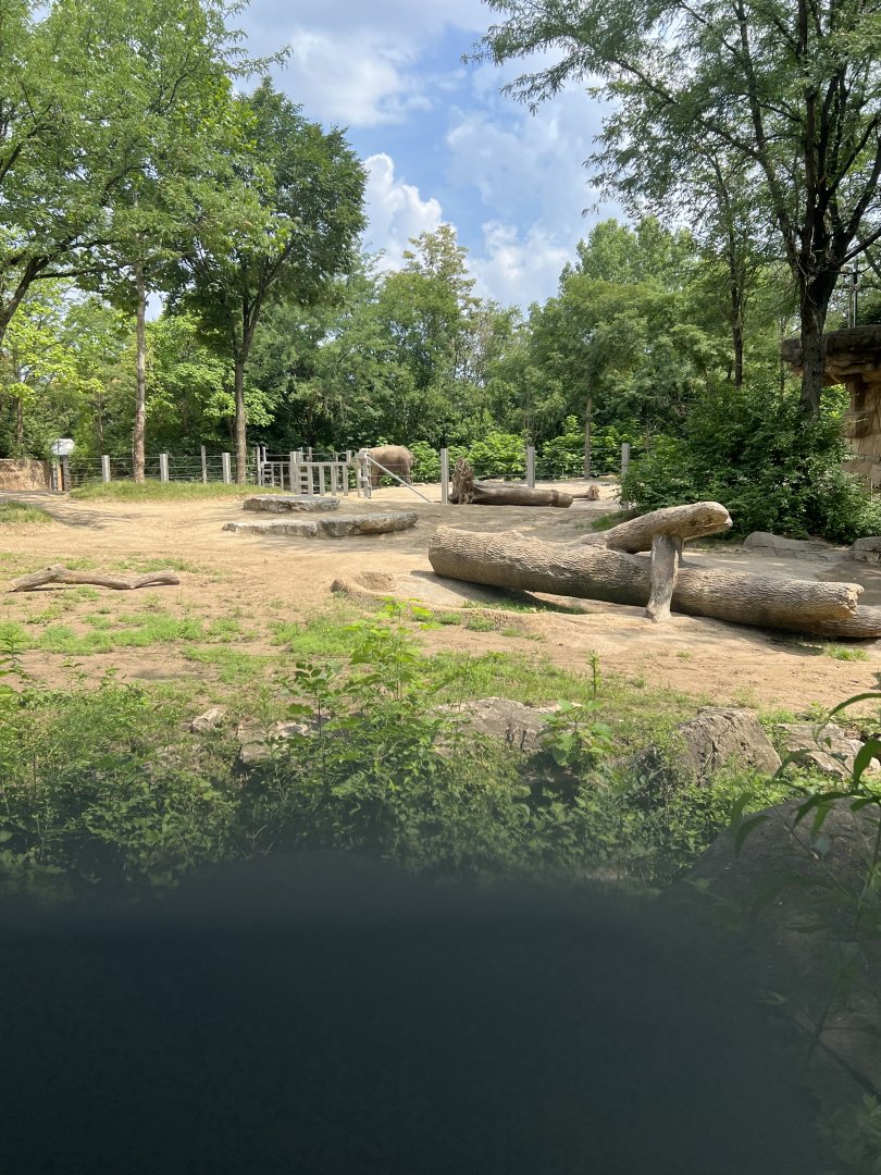 Asian Elephant Exhibit