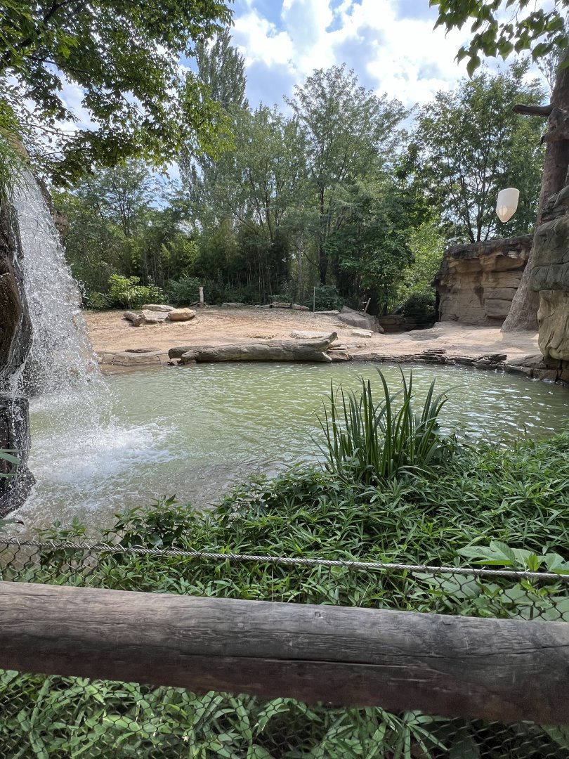 Asian Elephant Exhibit