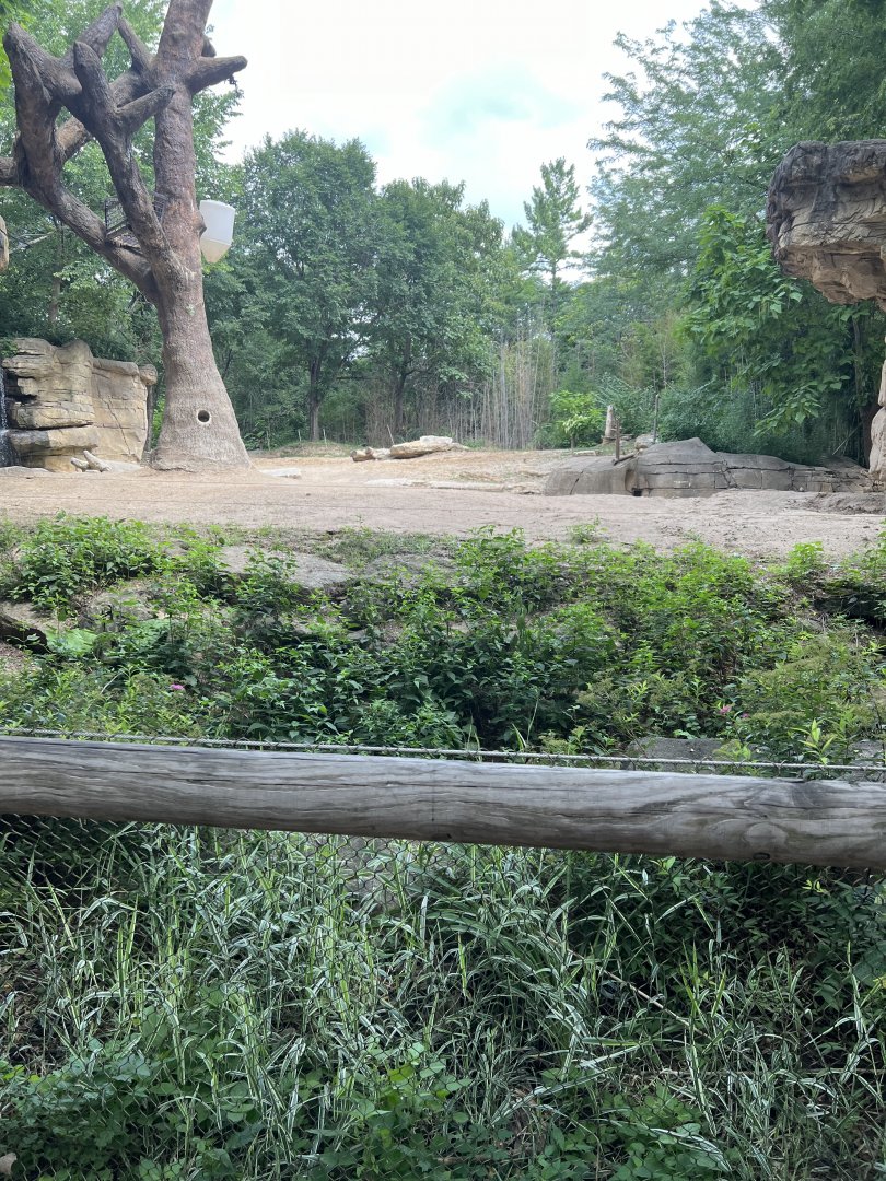 Asian Elephant Exhibit