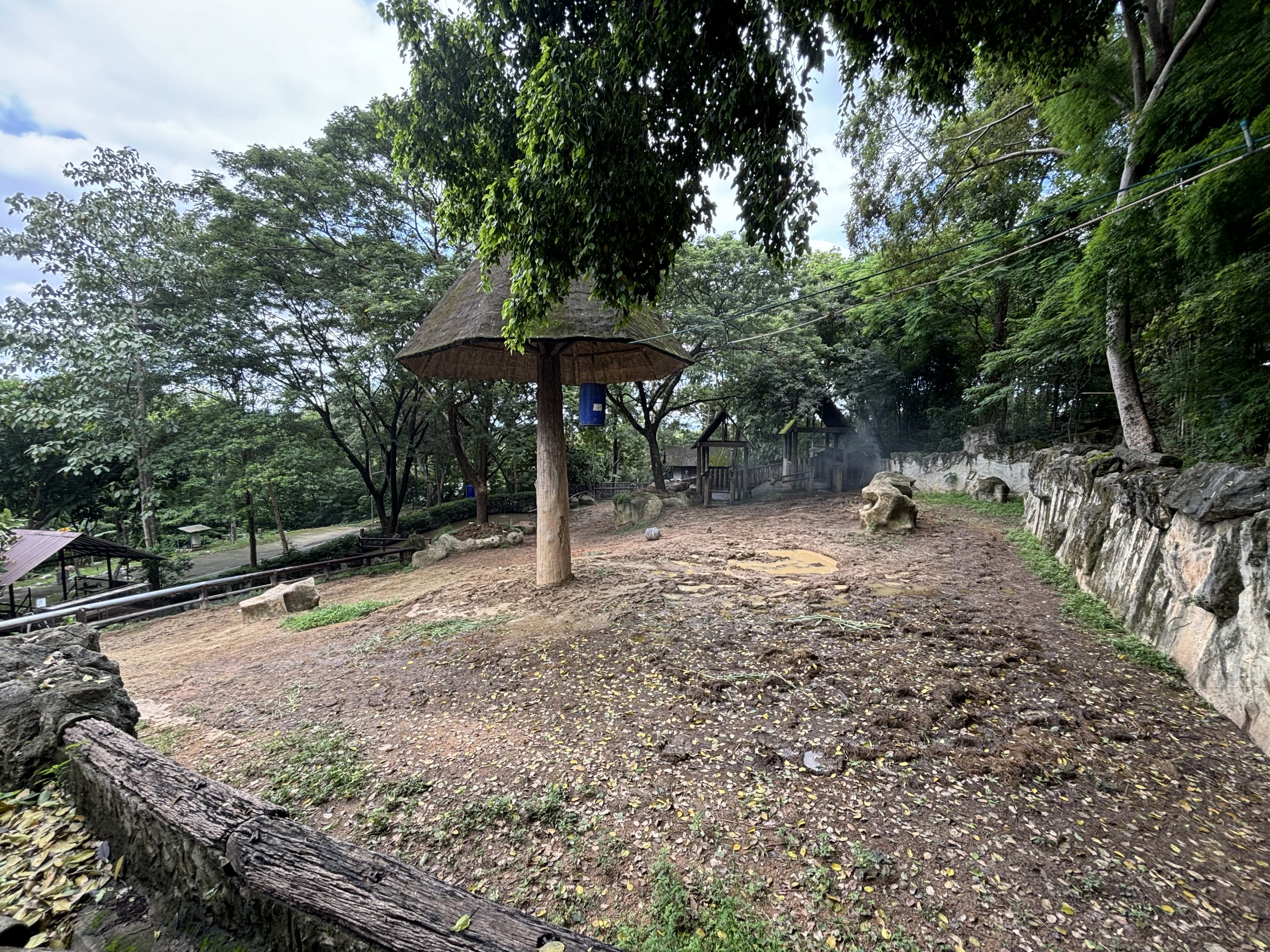 Asian Elephant Exhibit