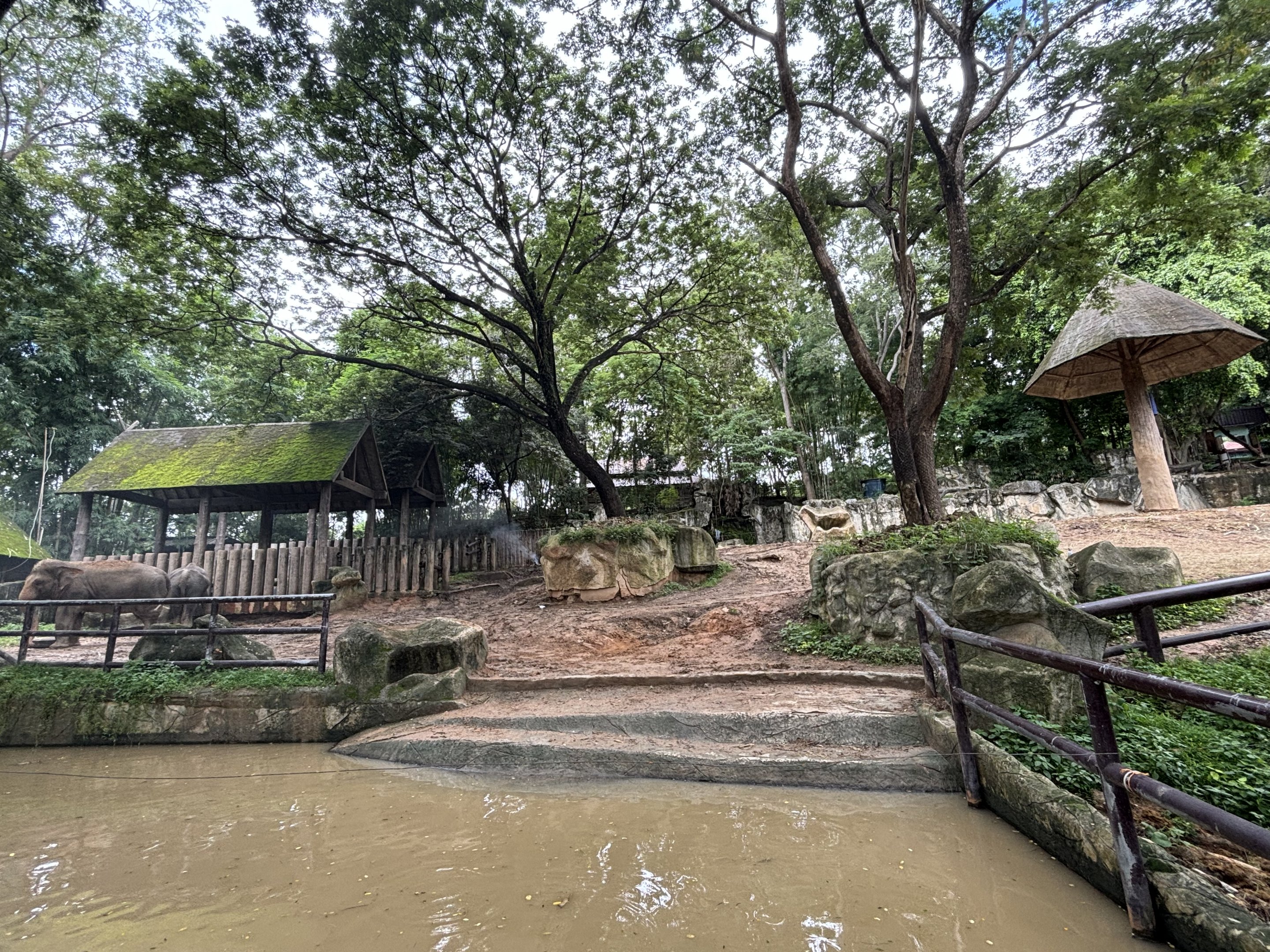 Asian Elephant Exhibit