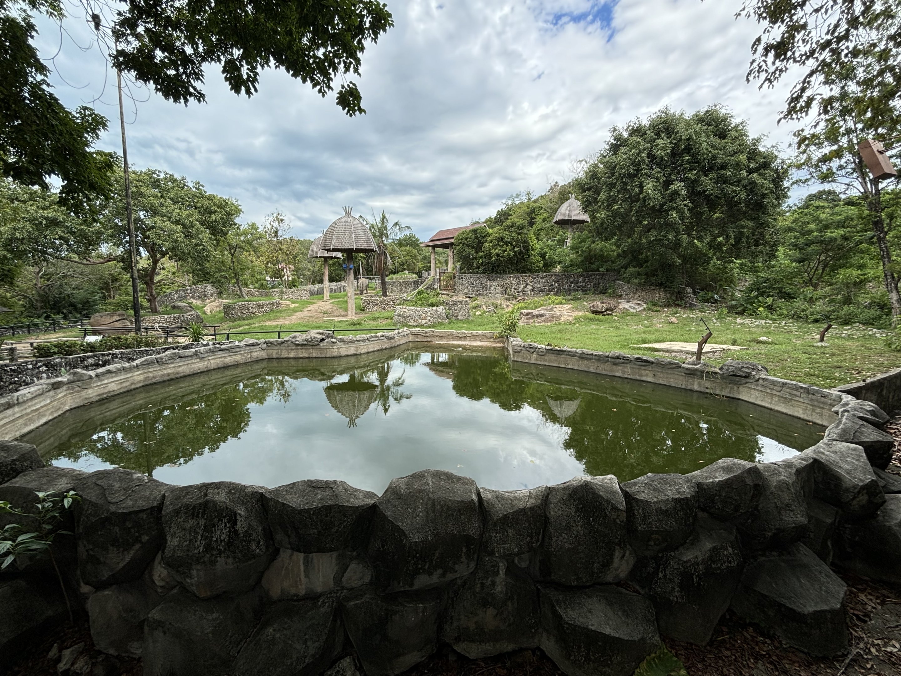 Asian Elephant Exhibit