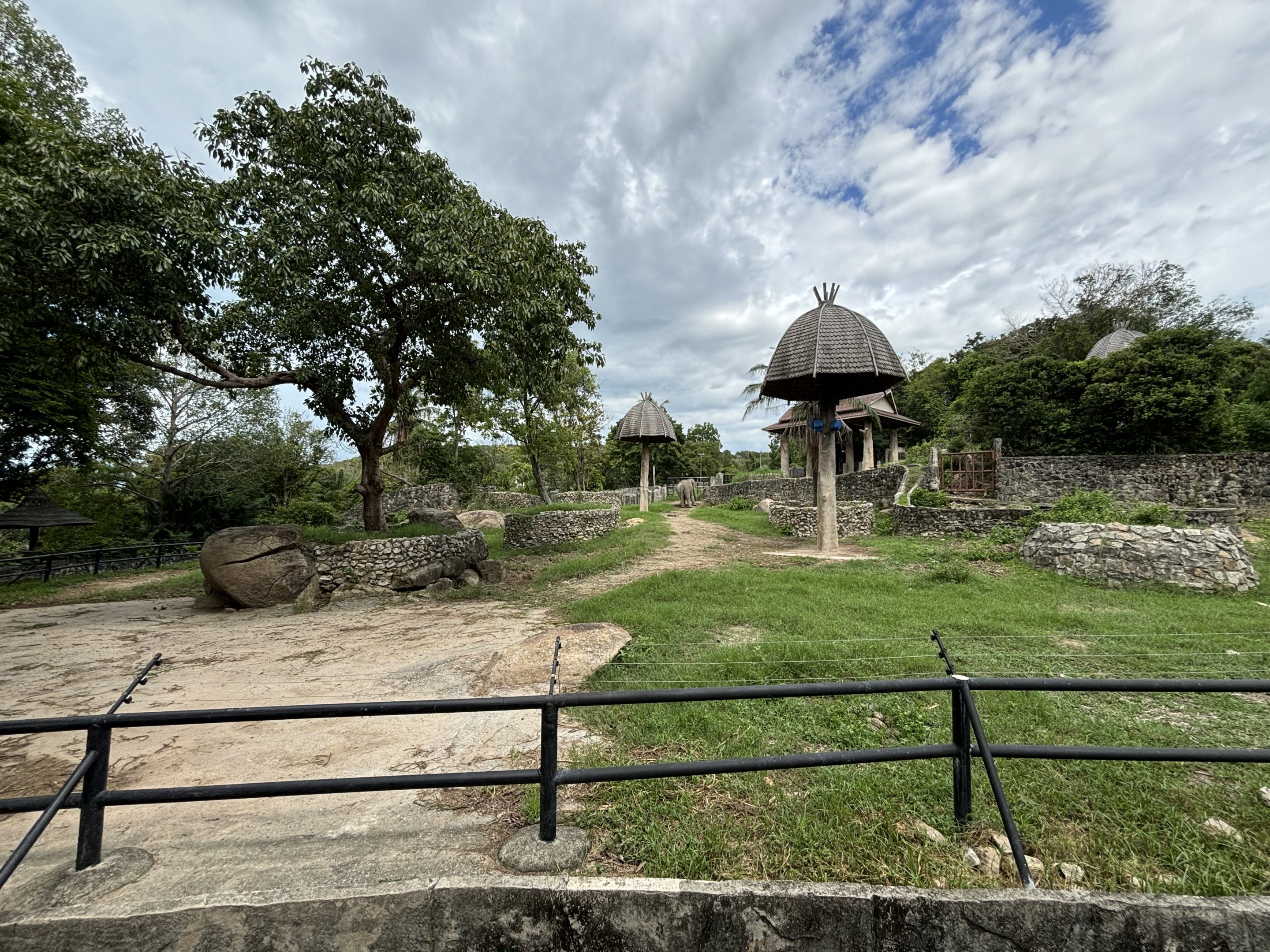Asian Elephant Exhibit