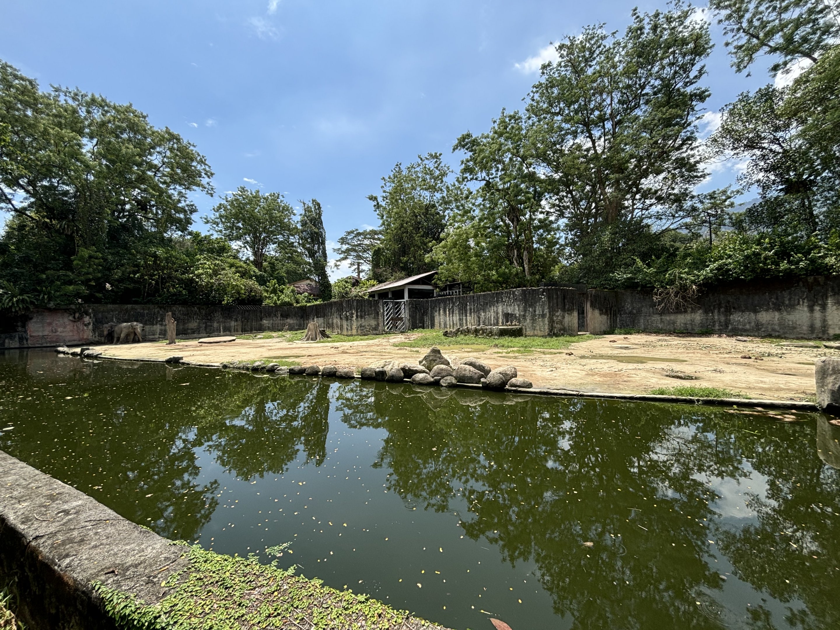 Asian Elephant Exhibit