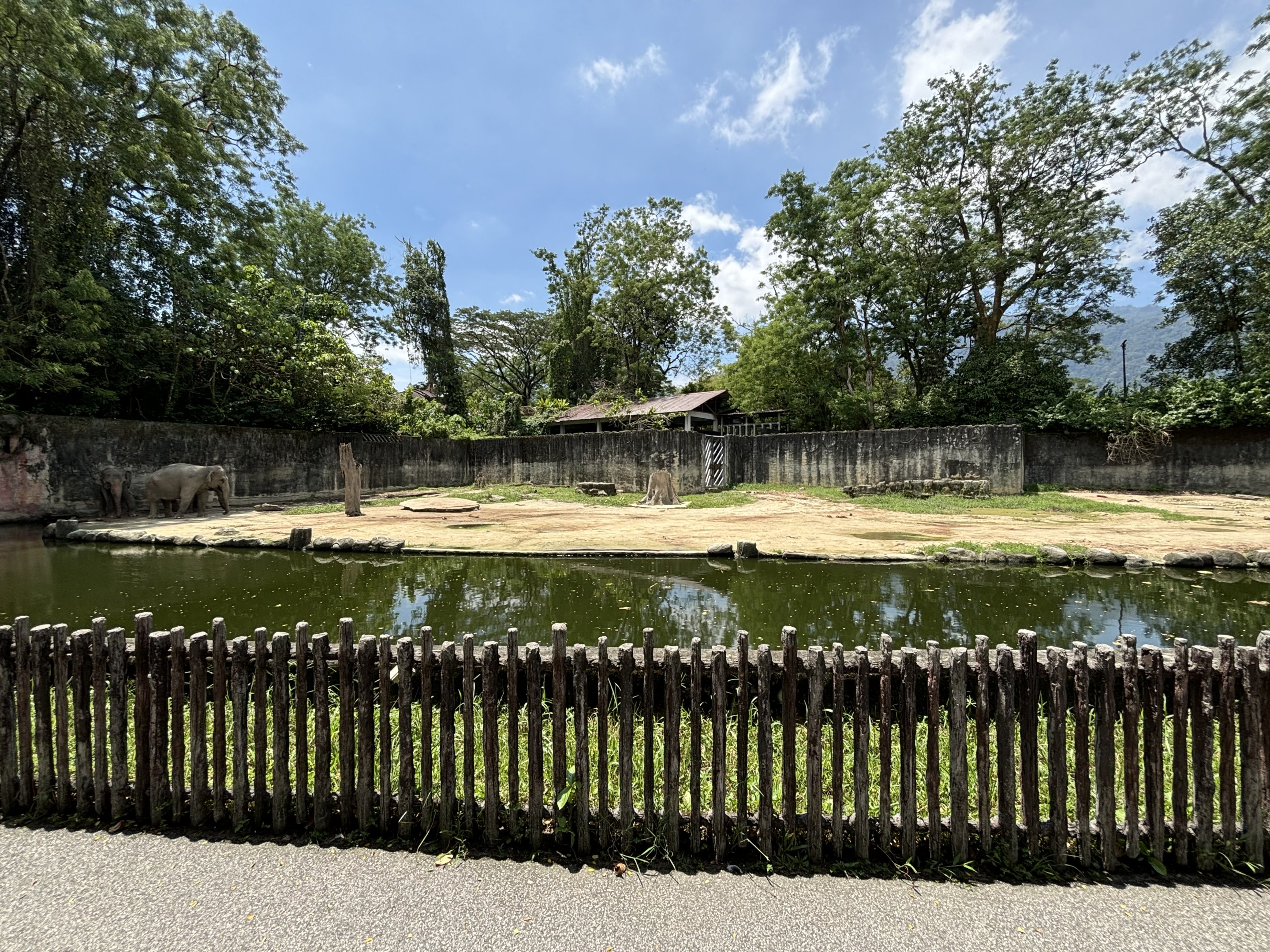 Asian Elephant Exhibit