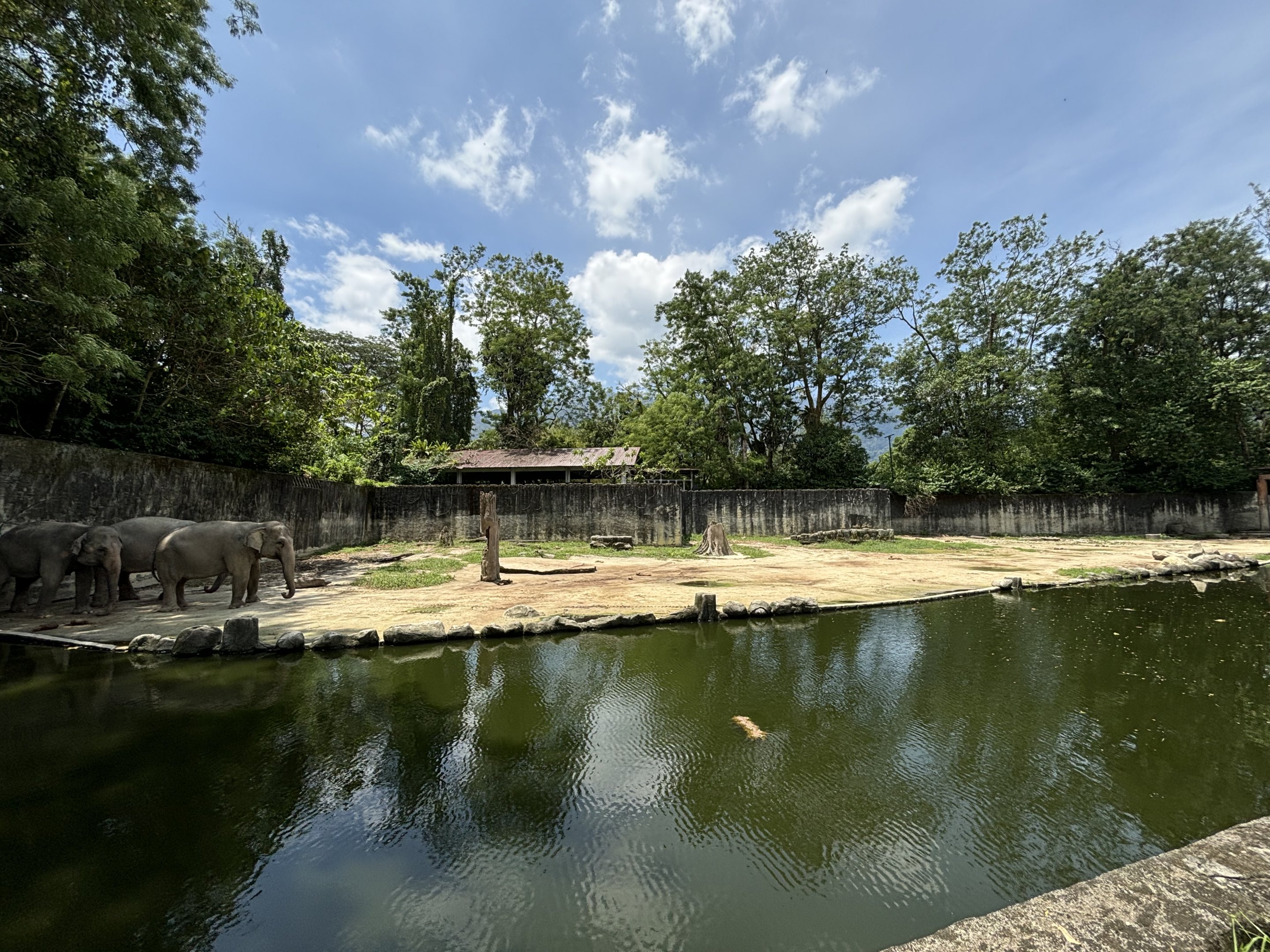 Asian Elephant Exhibit