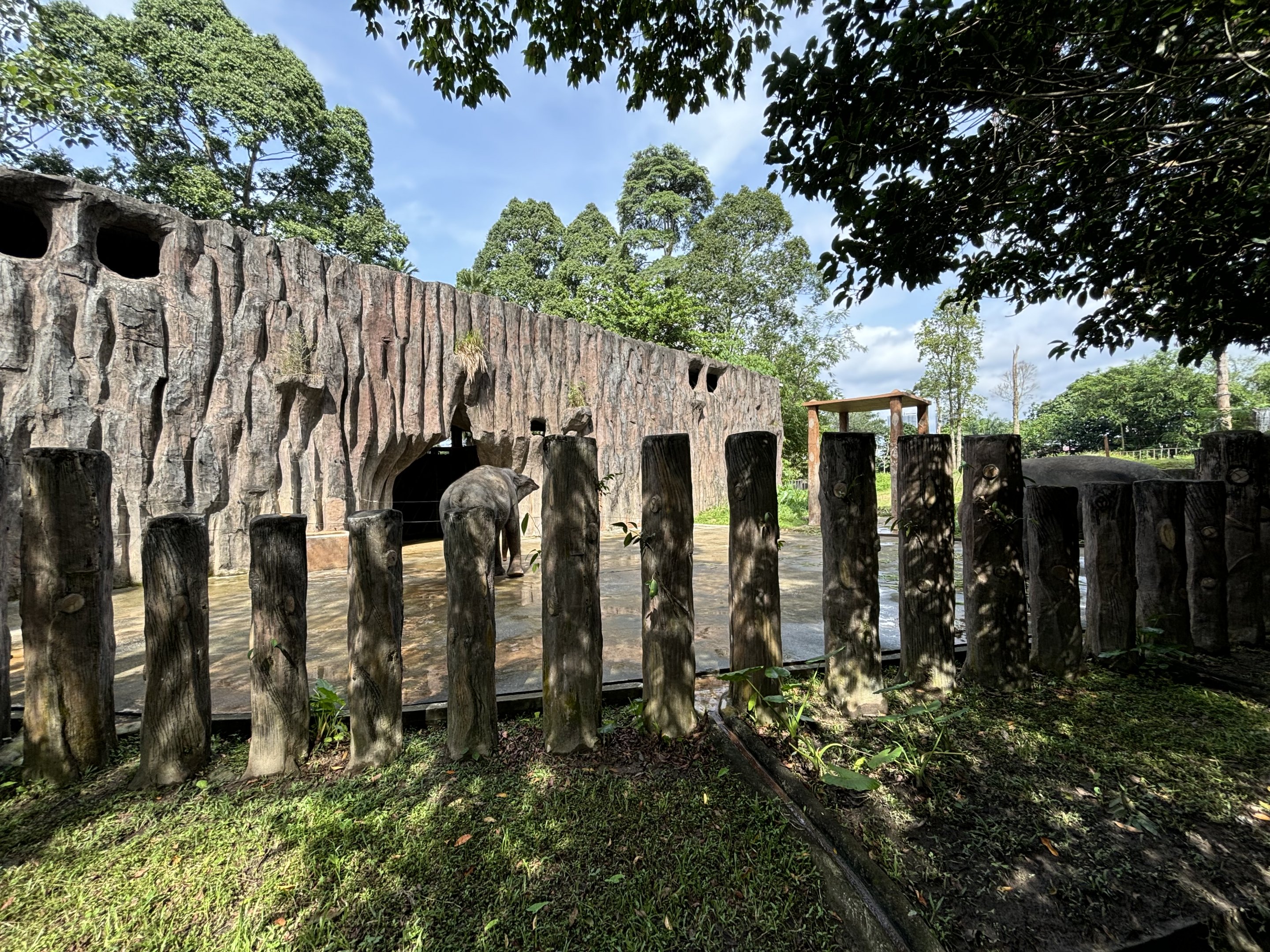 Asian Elephant Exhibit