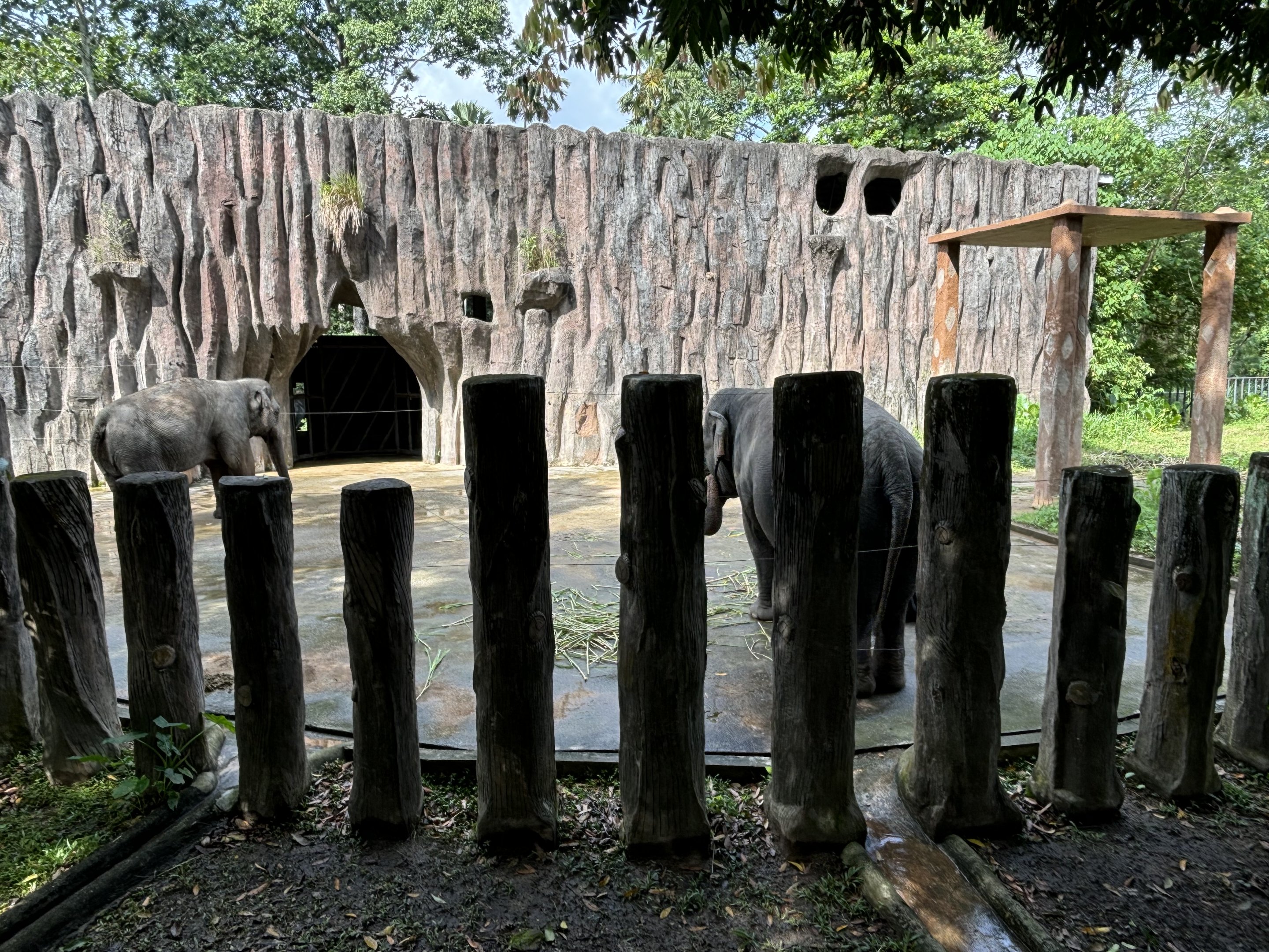 Asian Elephant Exhibit