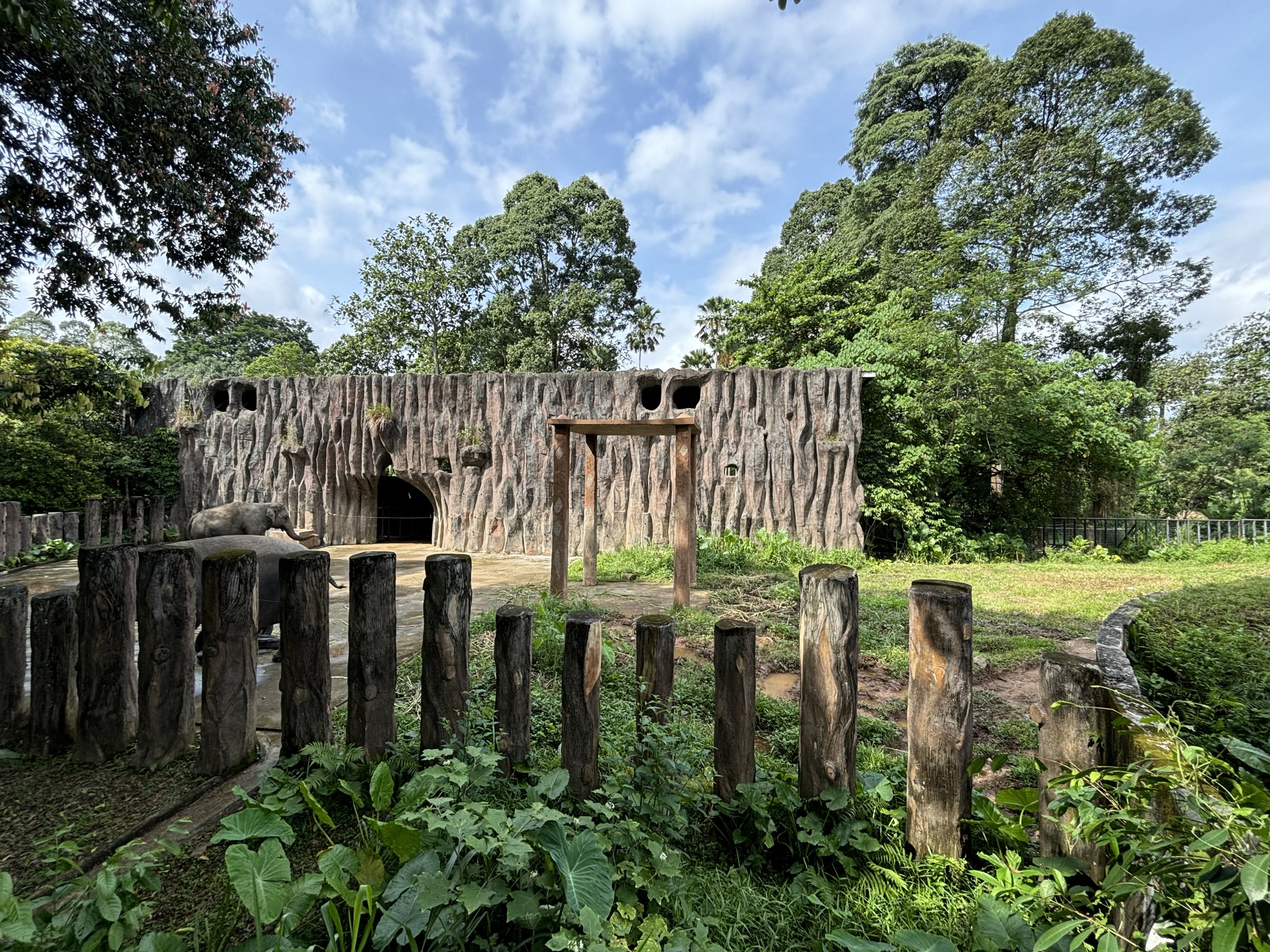 Asian Elephant Exhibit