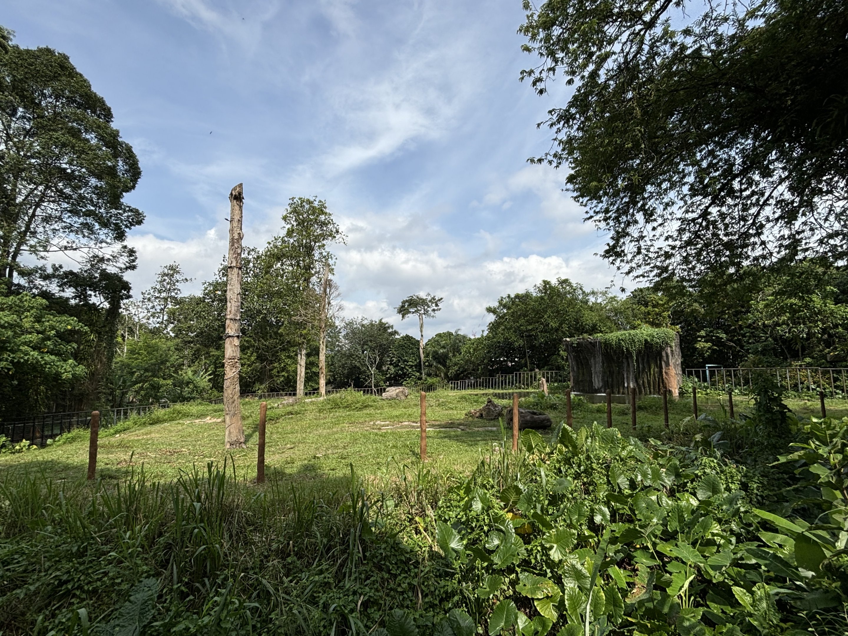 Asian Elephant Exhibit