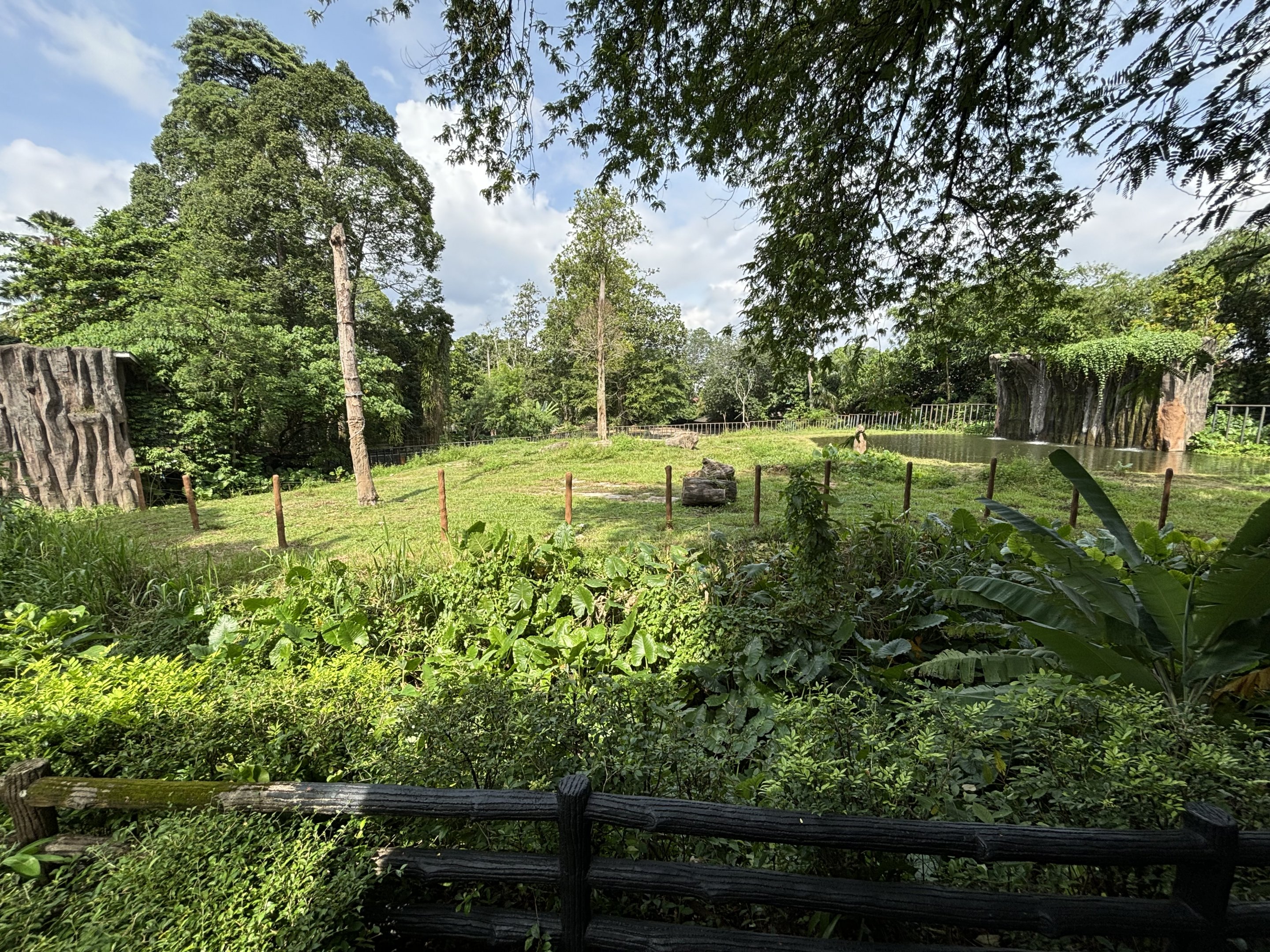Asian Elephant Exhibit
