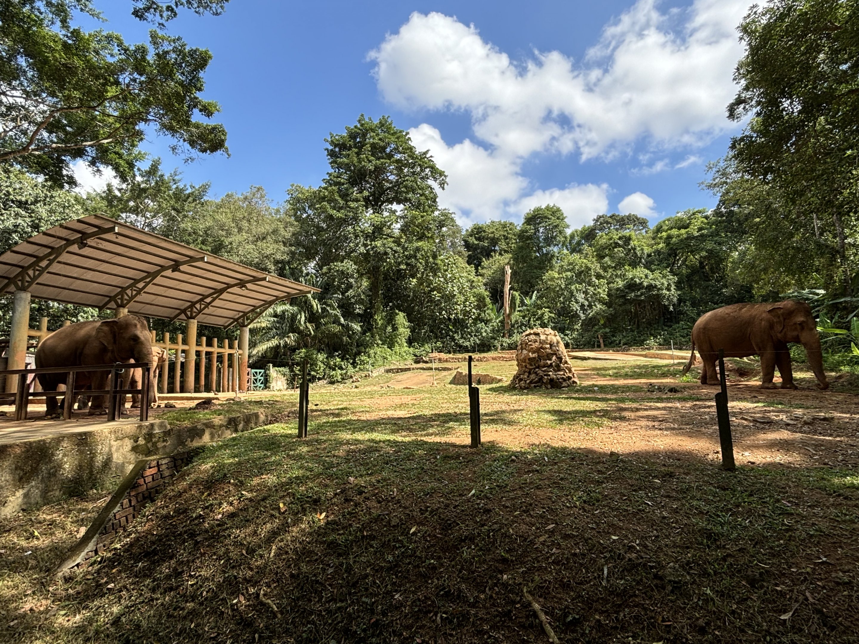 Asian Elephant Exhibit
