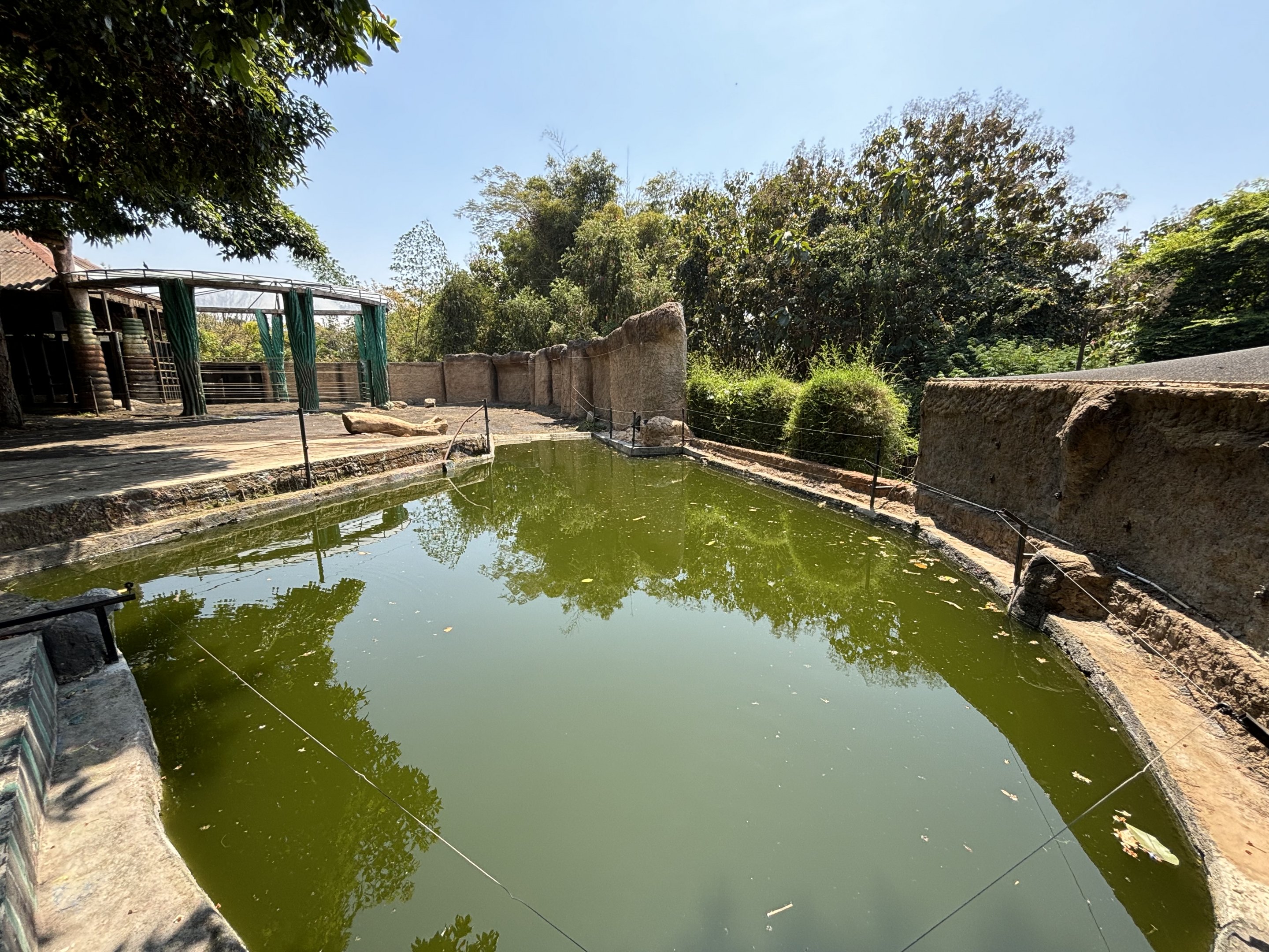 Asian Elephant Exhibit