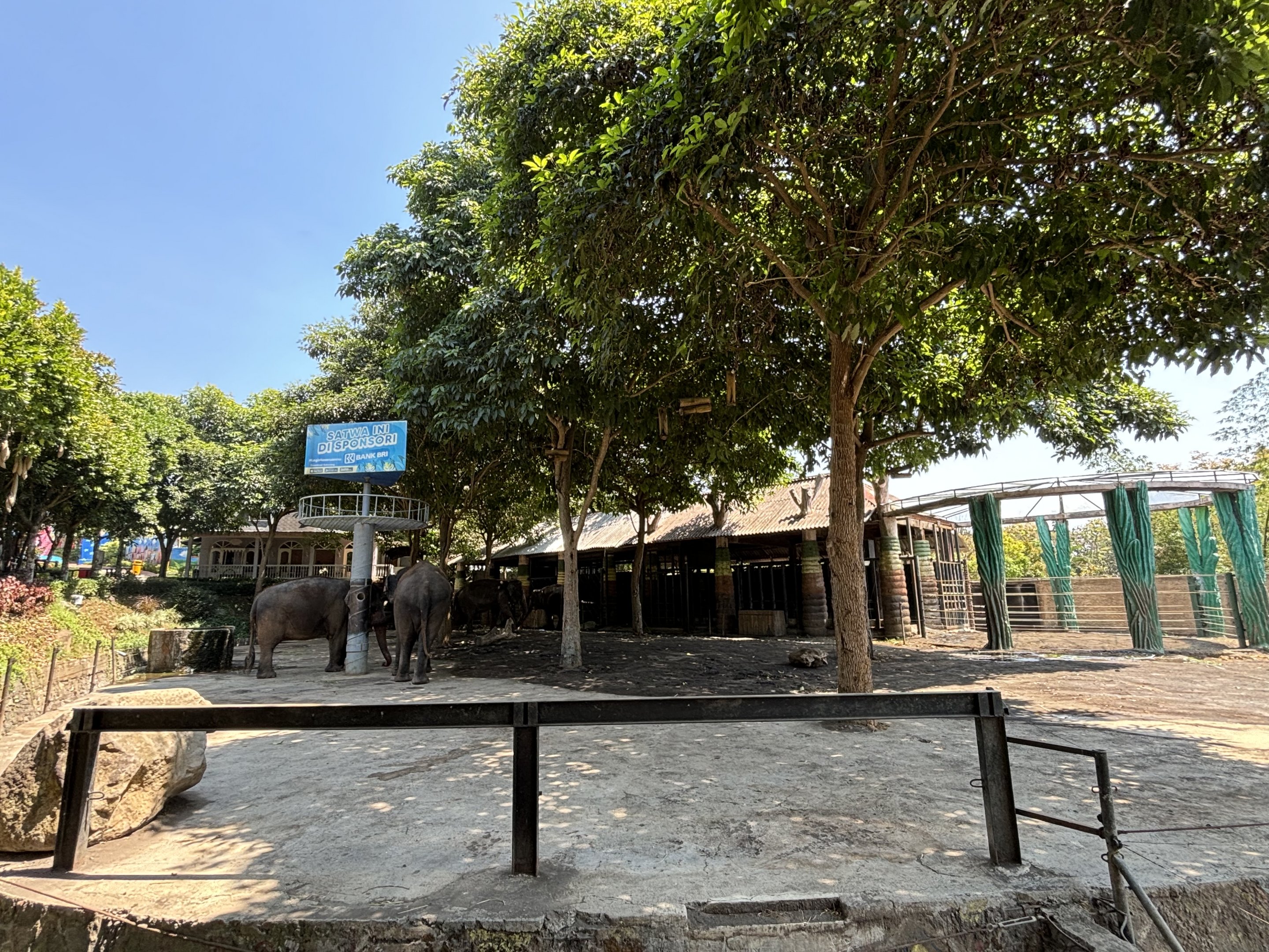 Asian Elephant Exhibit