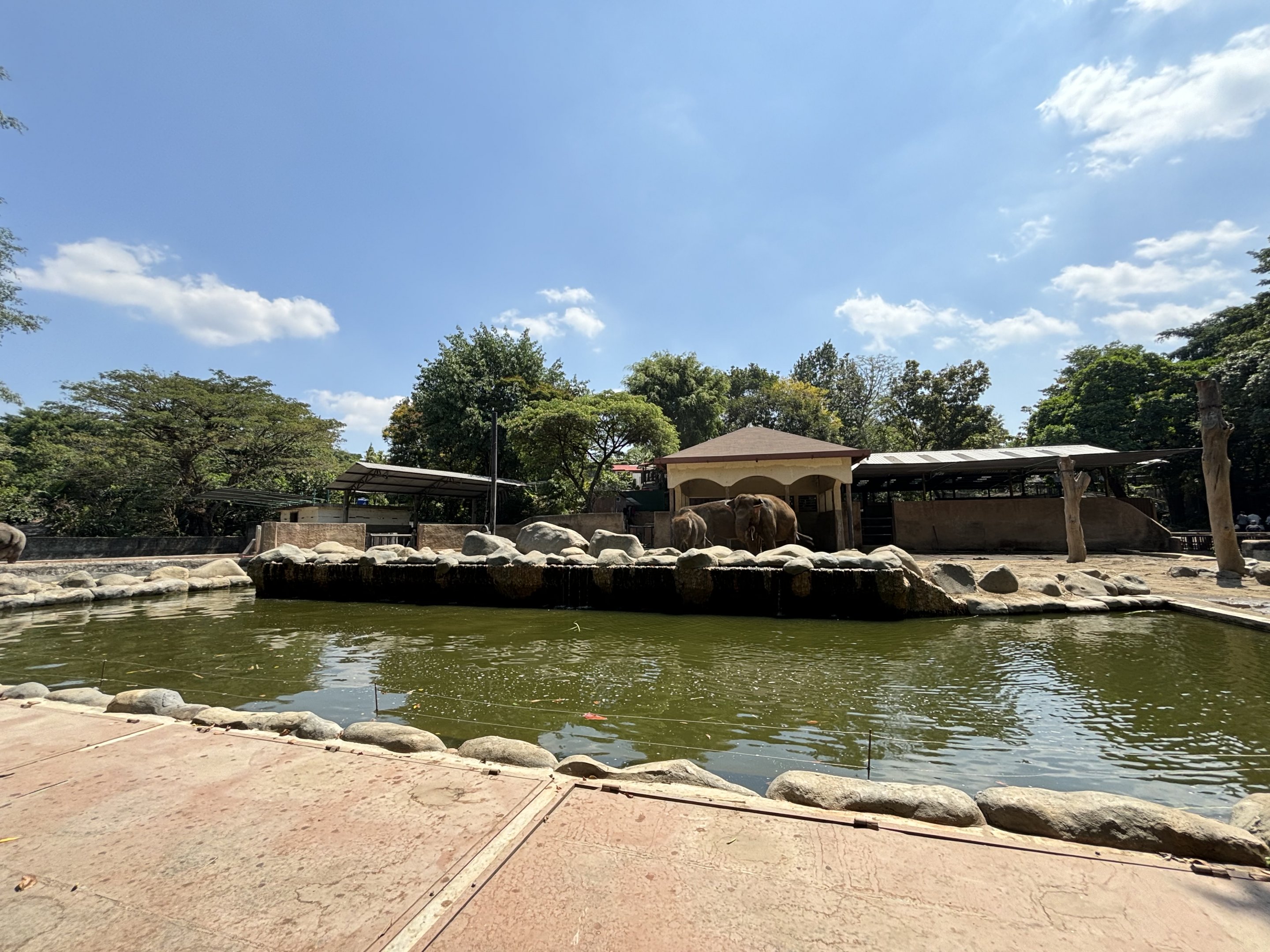 Asian Elephant Exhibit