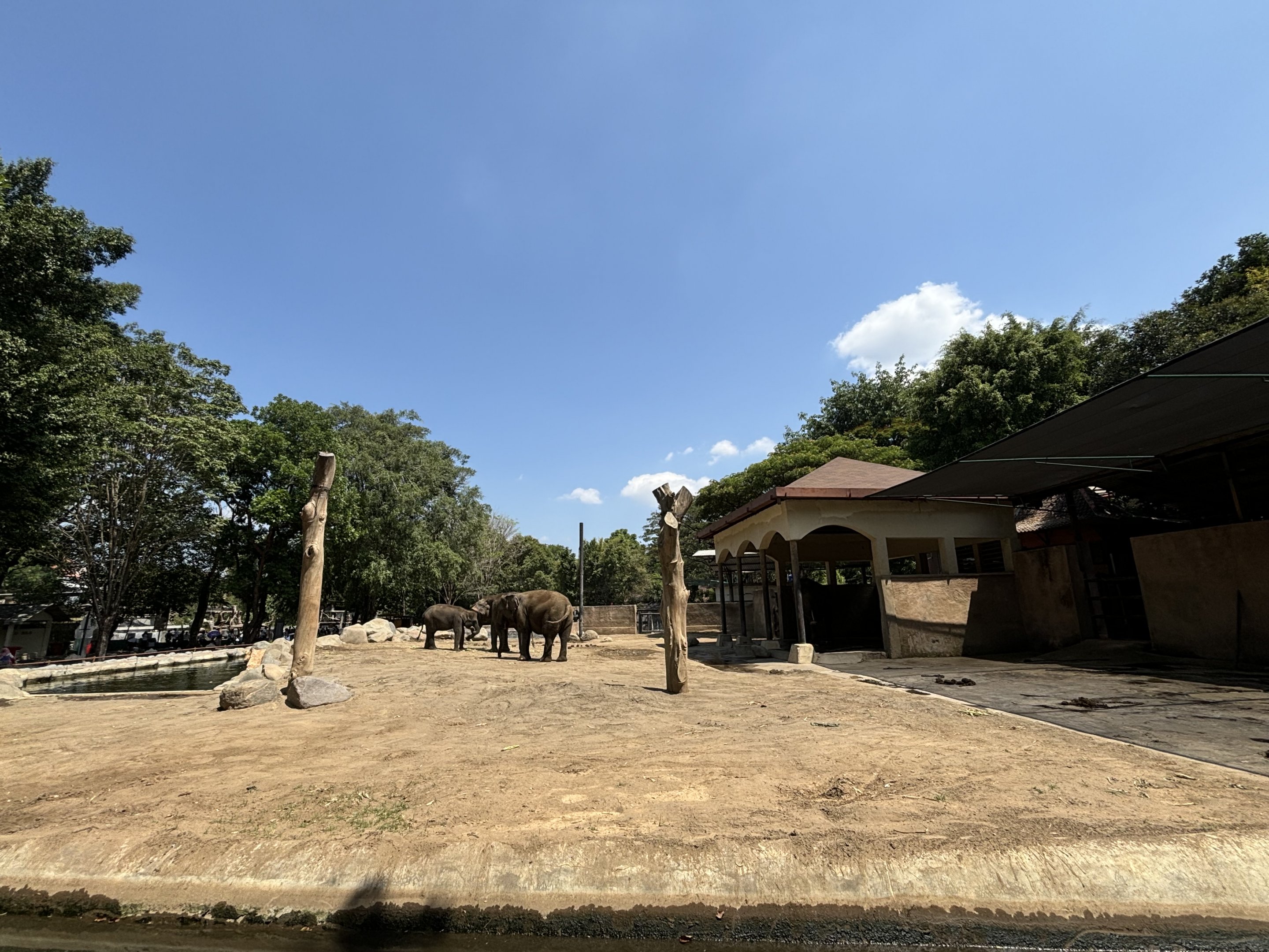 Asian Elephant Exhibit