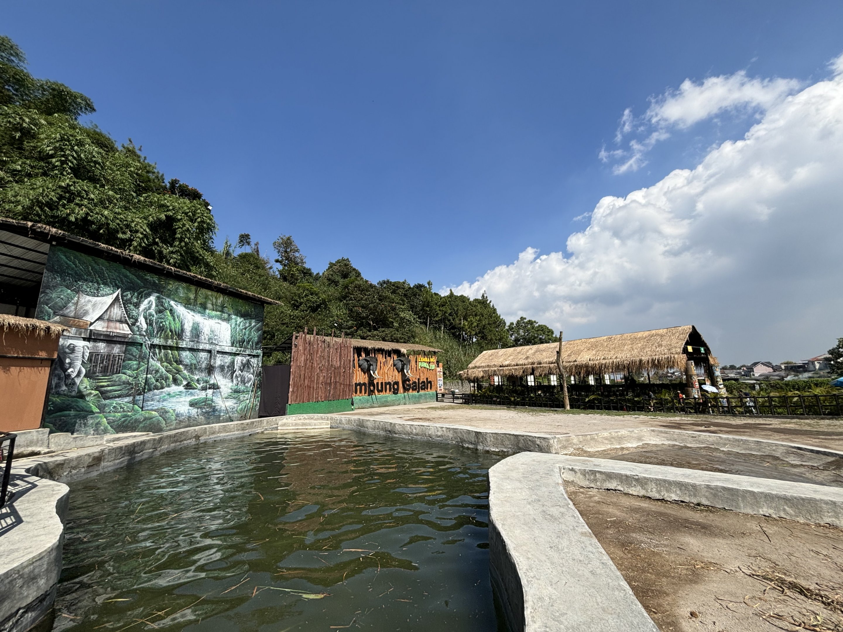 Asian Elephant Exhibit