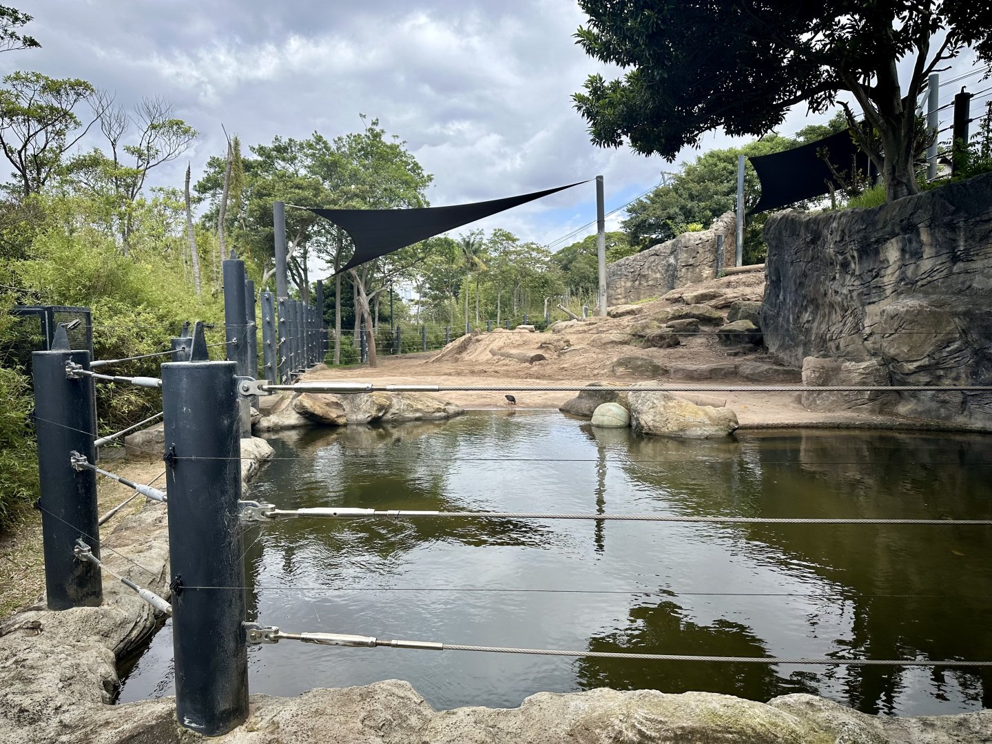 Asian Elephant Exhibit