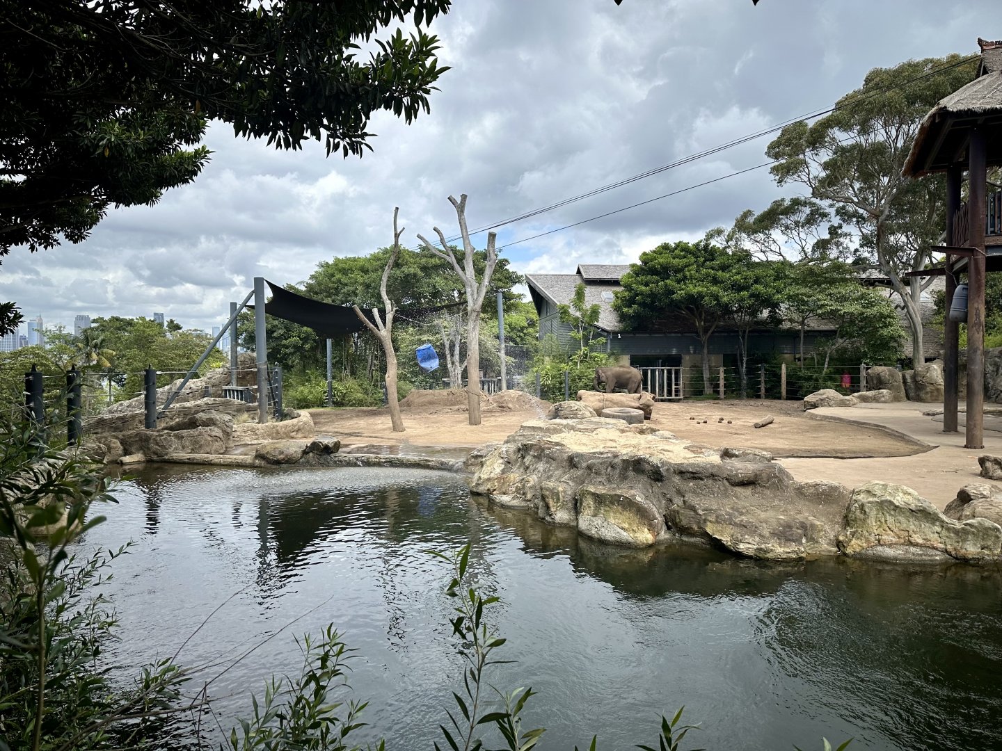 Asian Elephant Exhibit