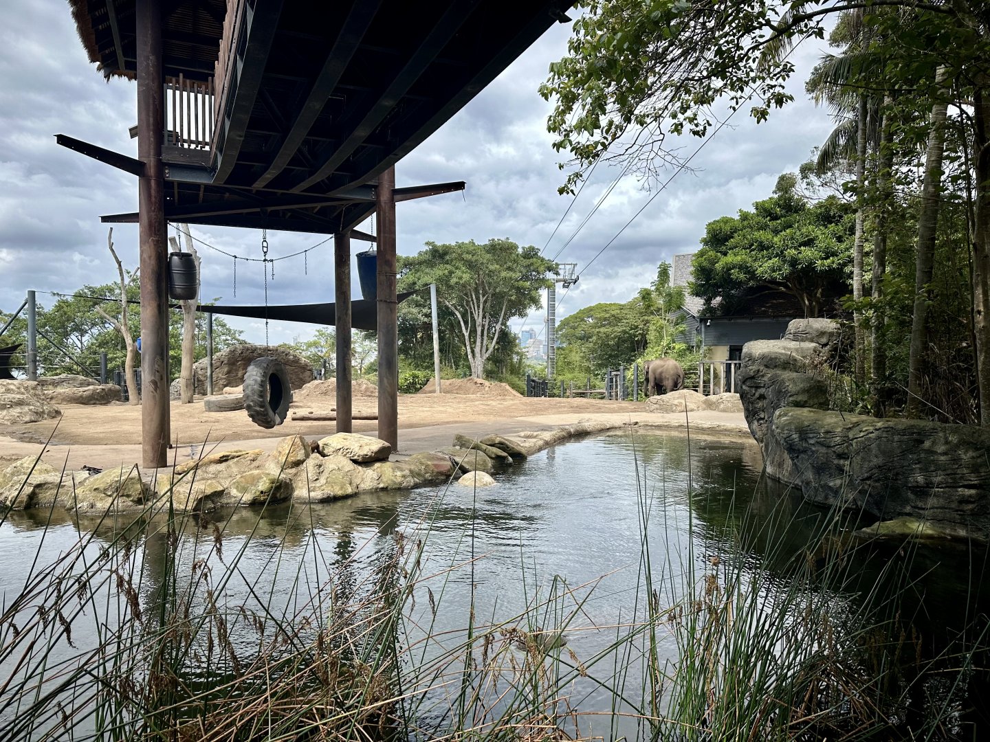 Asian Elephant Exhibit