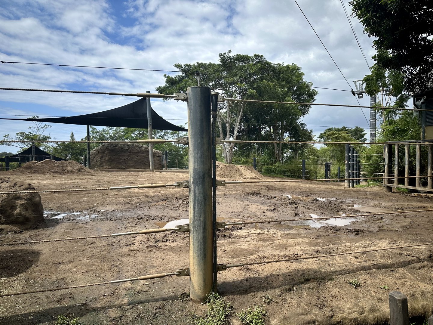 Asian Elephant Exhibit