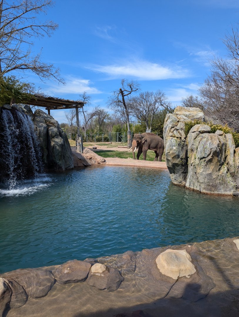 Asian elephant exhibit