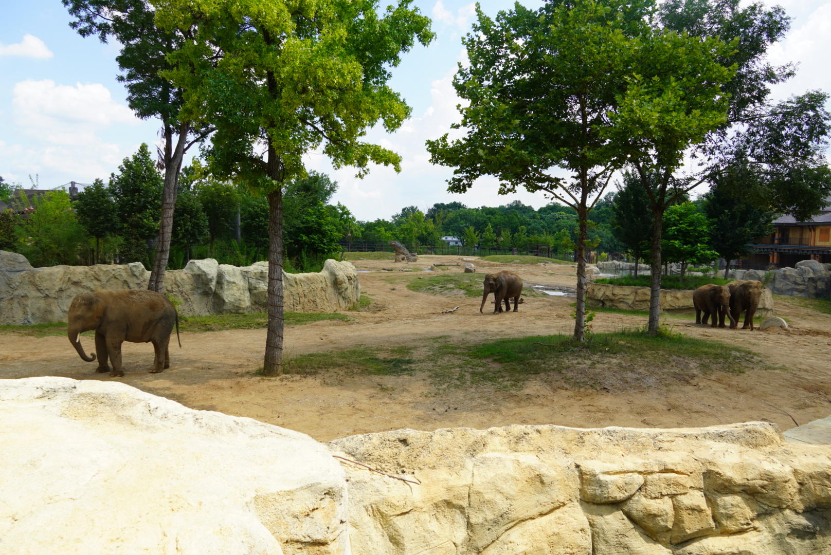 Asian Elephant Exhibit