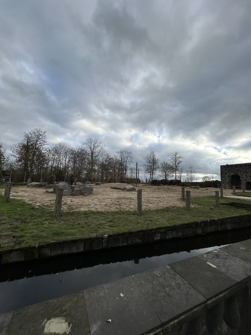 Asian elephant exhibit