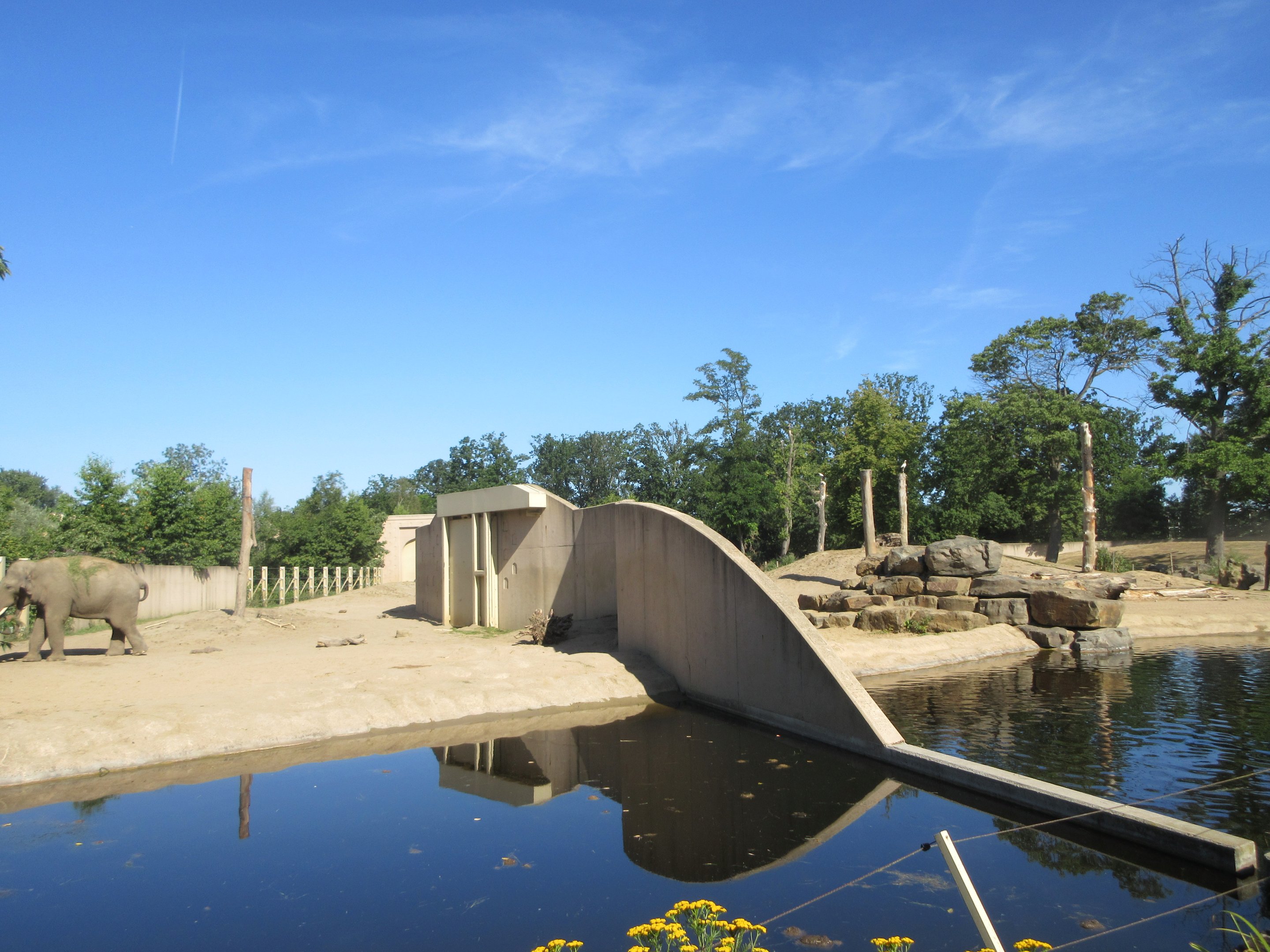 Asian Elephant Exhibits
