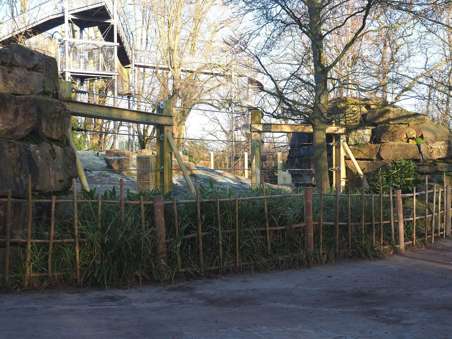 Asian elephant feeding and enrichment area near snow leopard exhibit, 2022-02-12