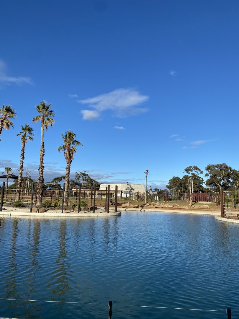 Asian Elephant Fidget Spinner Paddock