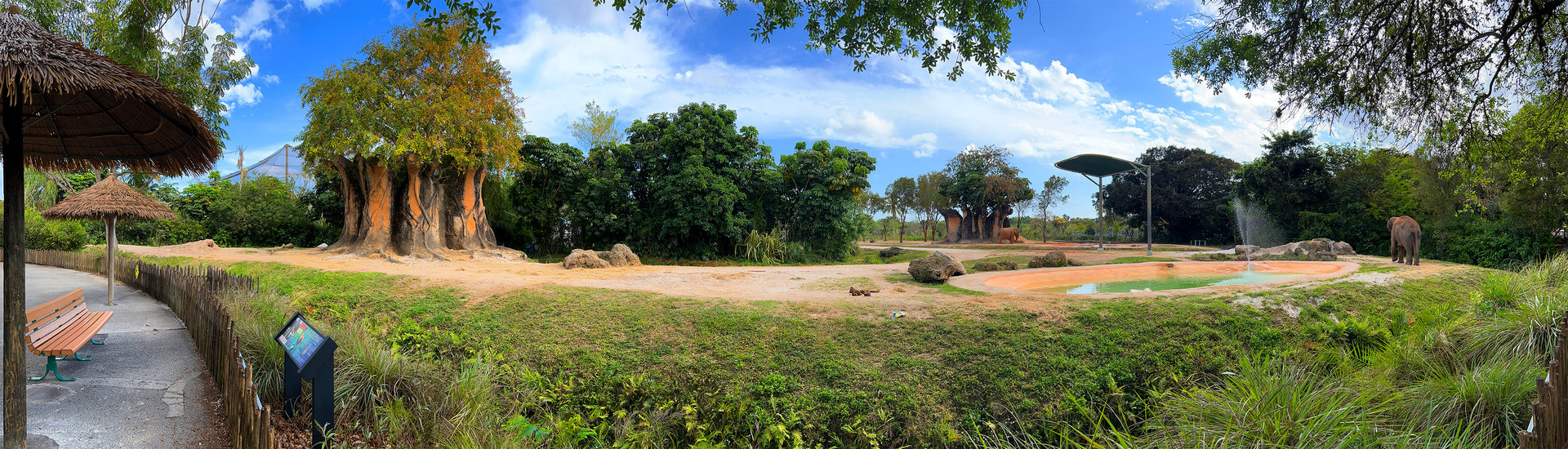 Asian Elephant Front Exhibit