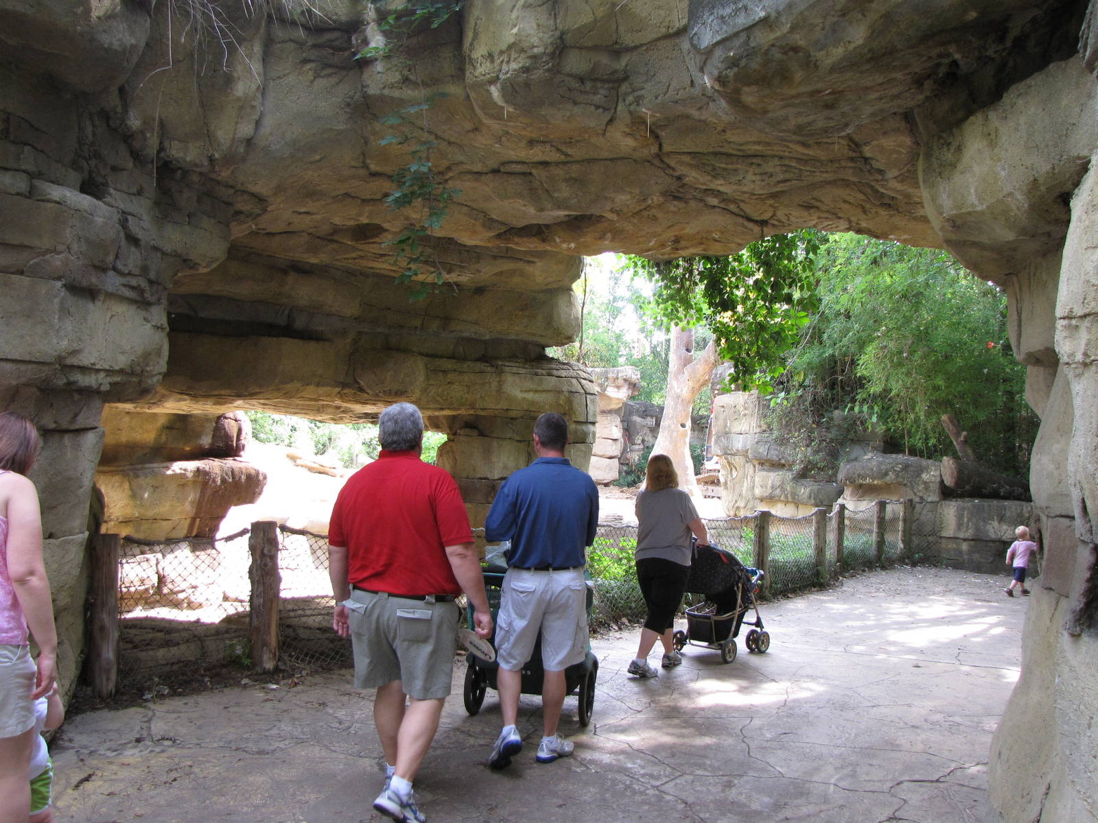 Asian Elephant Habitat - Rivers Edge