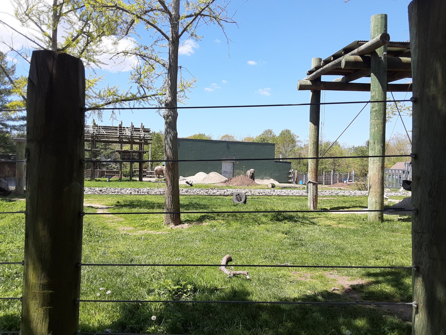 Asian Elephant Habitat