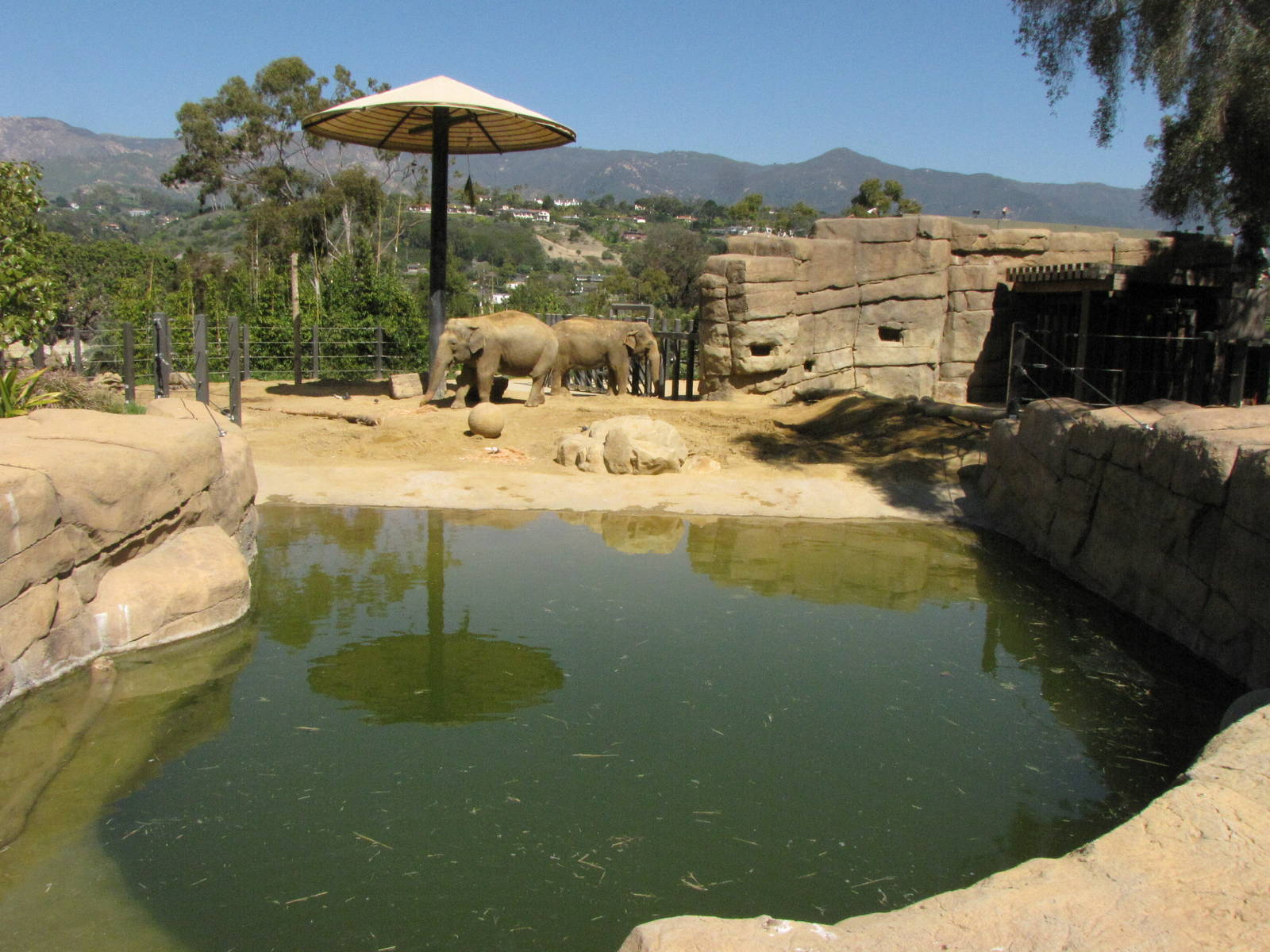 Asian Elephant Habitat
