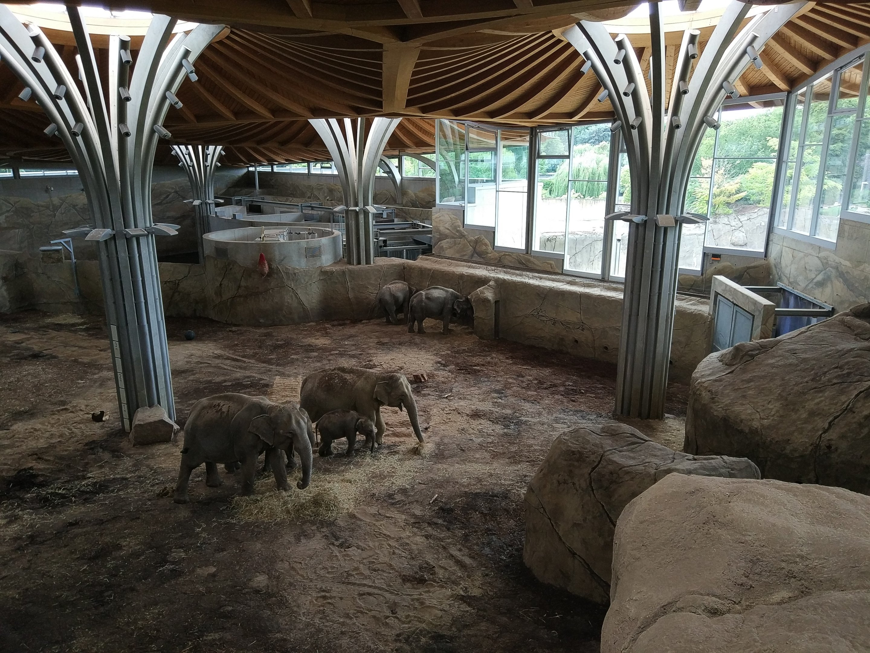 Asian Elephant Hosue