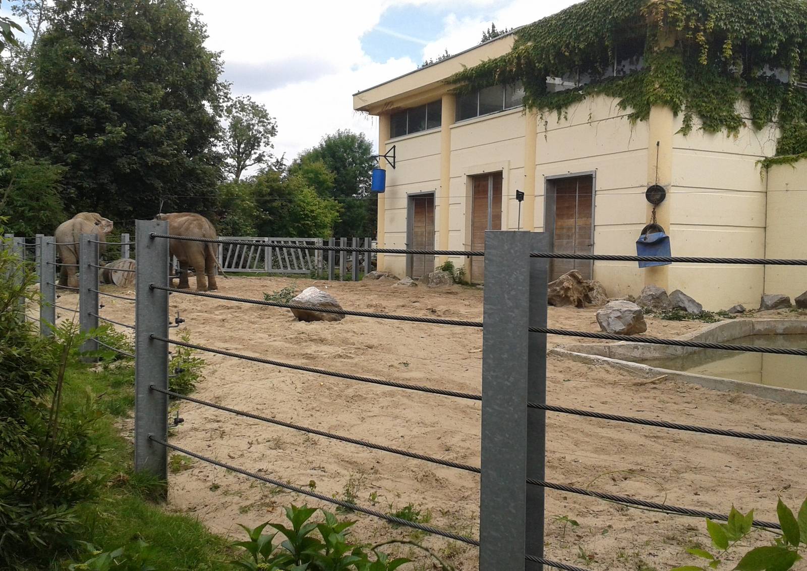 Asian elephant house and enclosure
