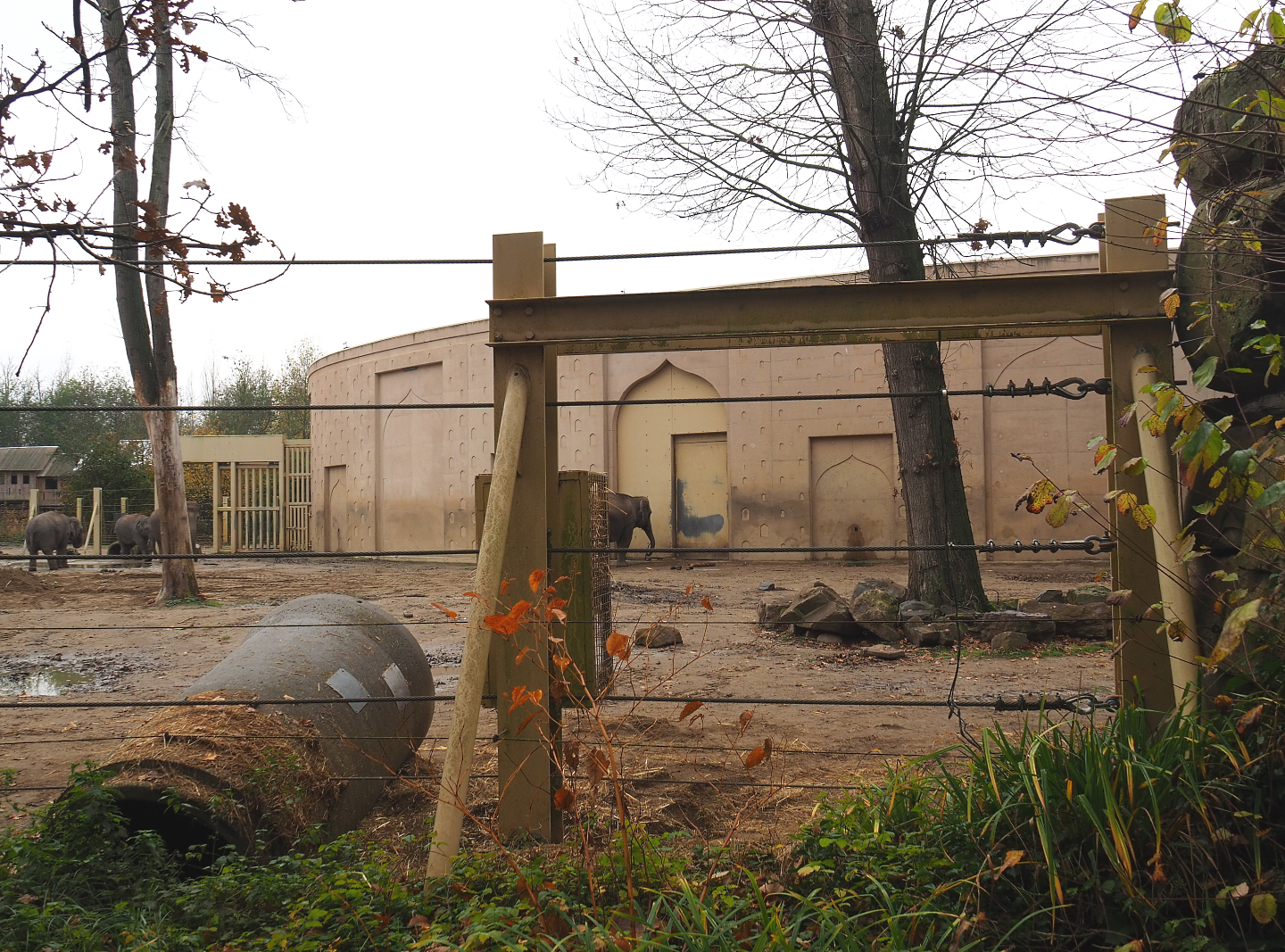 Asian elephant house and part of paddock, Seen from the viewing area near the entrance to the tree-top walk, 2021-11-23
