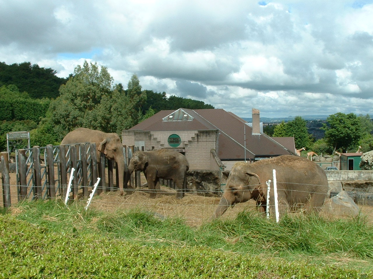 Asian Elephant House & Enclosures - Belfast 2006